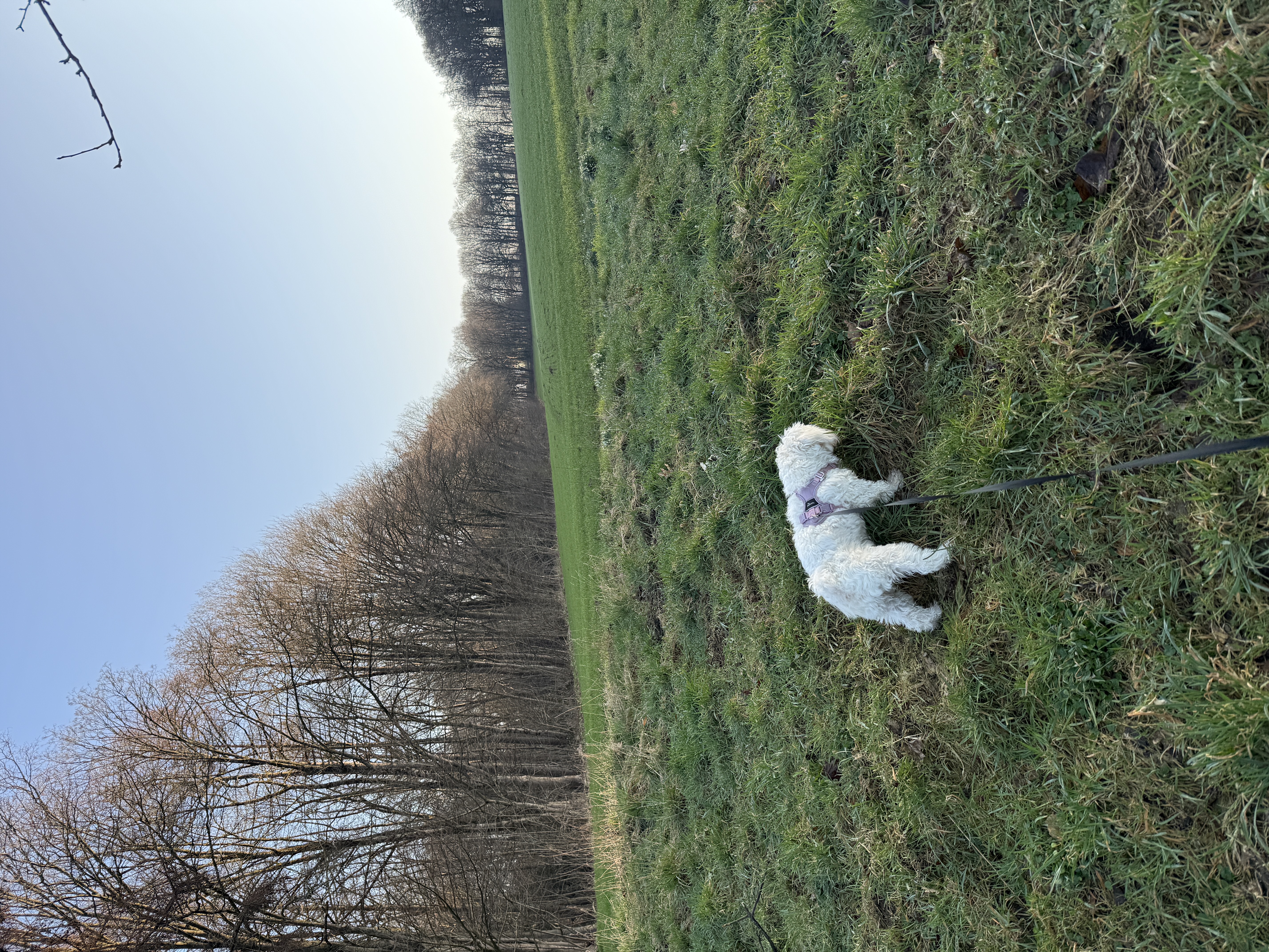 image-16