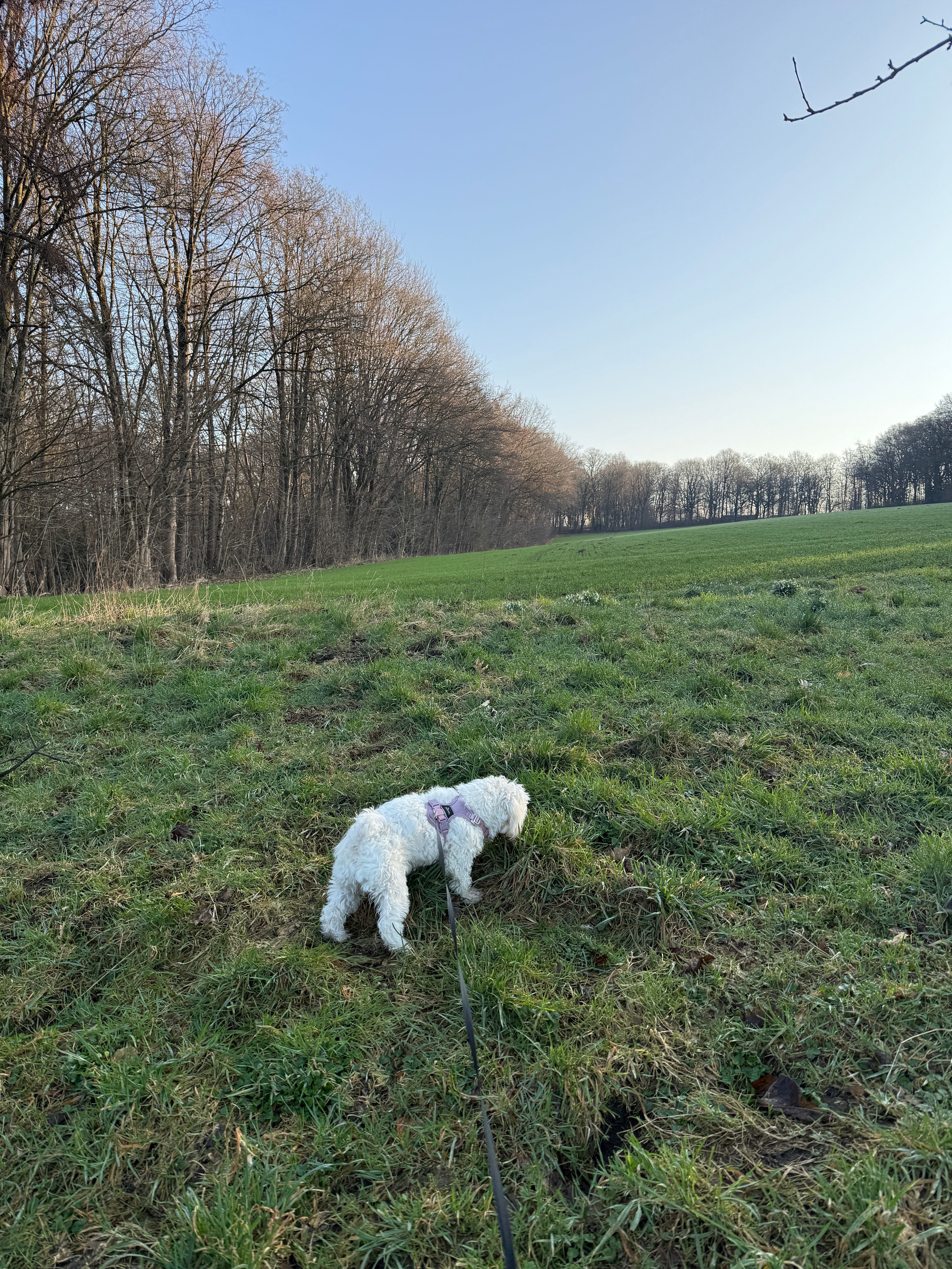image-16
