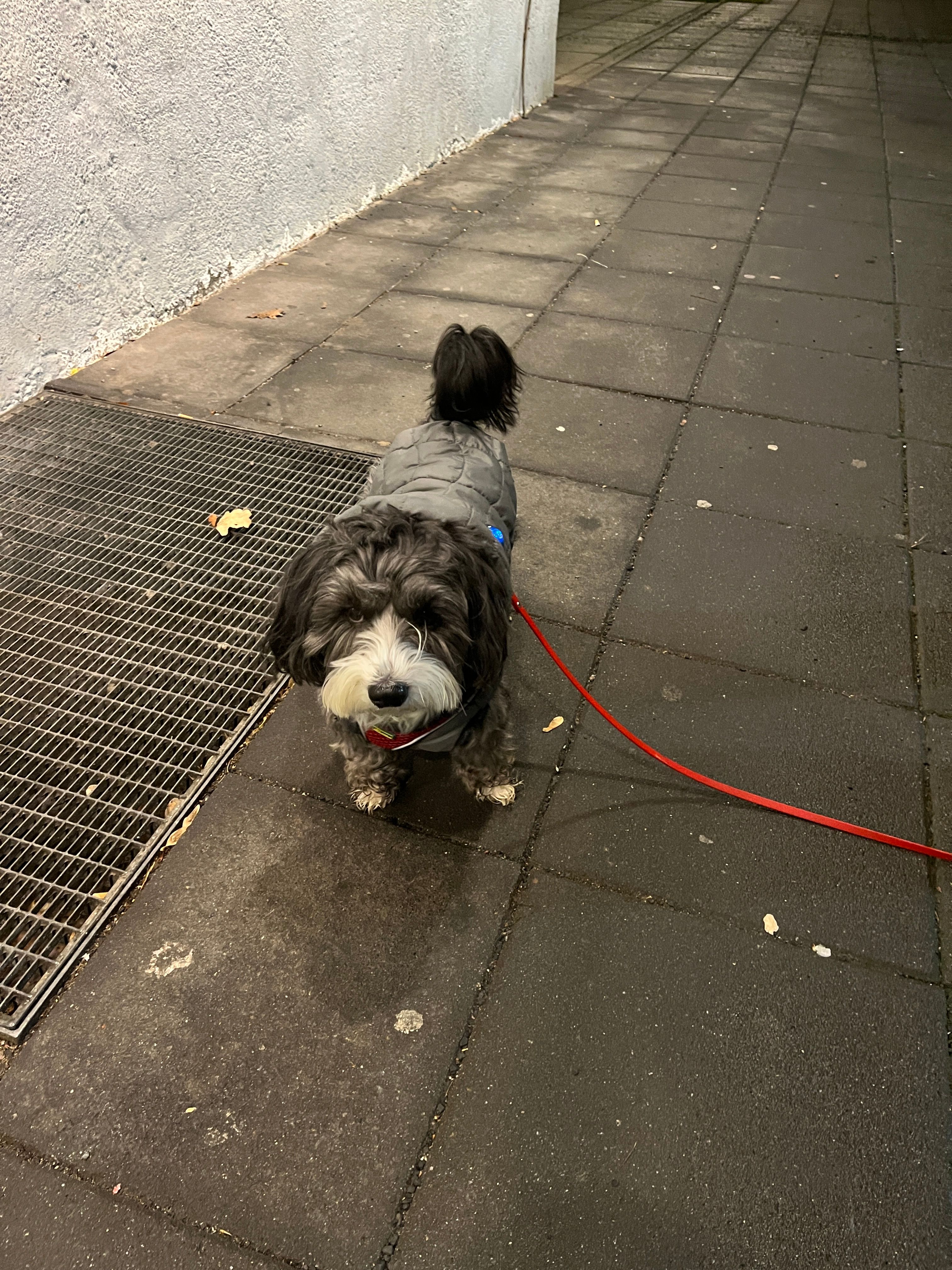 image-34