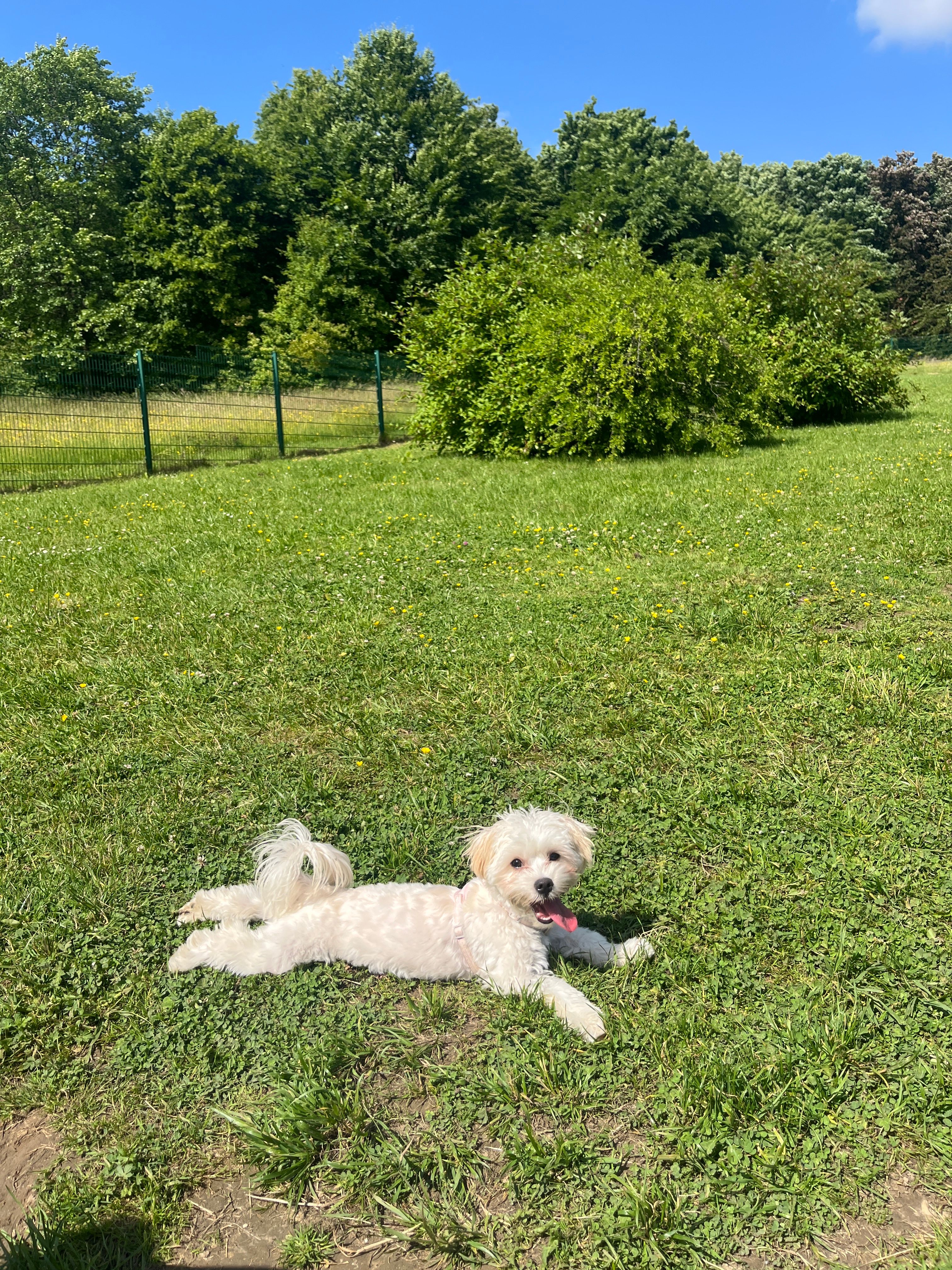 image-27