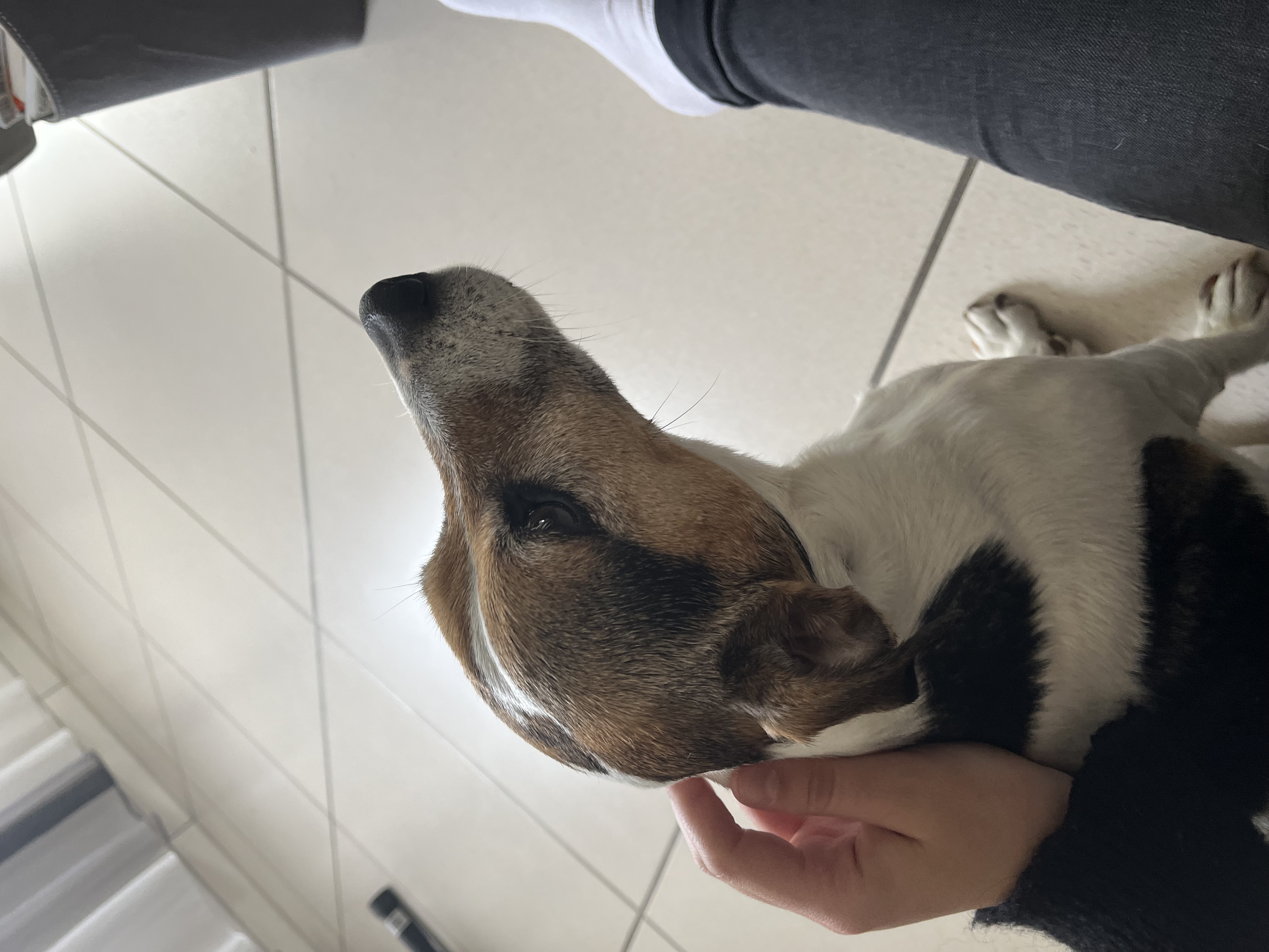 image-10