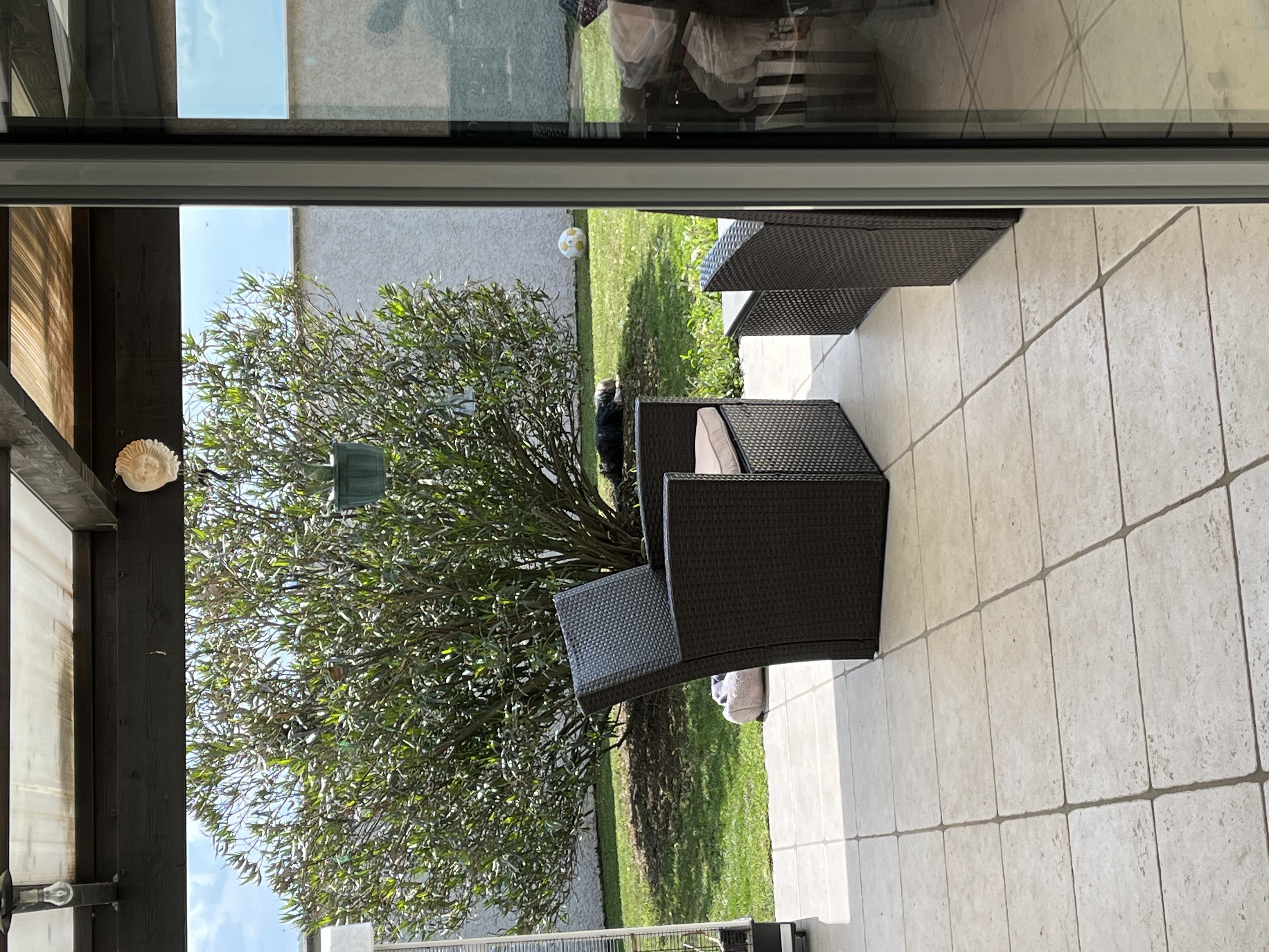 image-14
