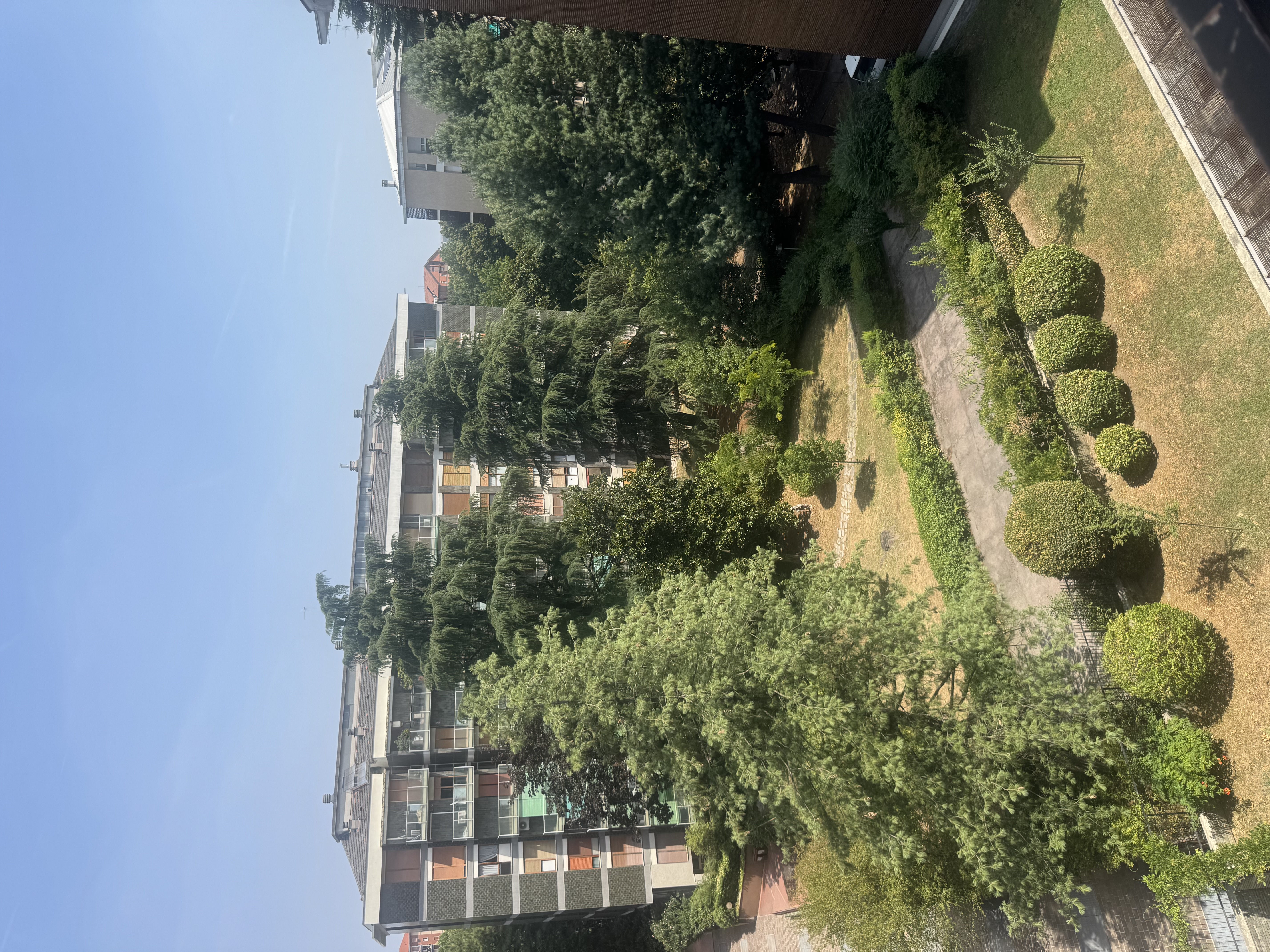 image-21