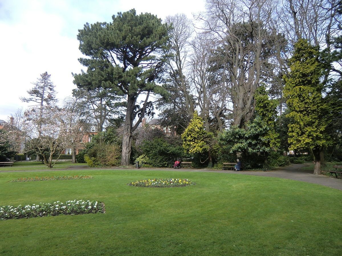 image-14