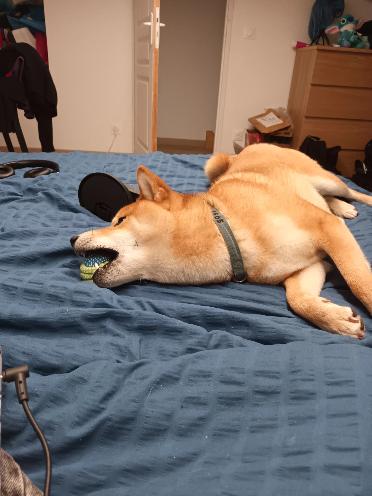 image-9