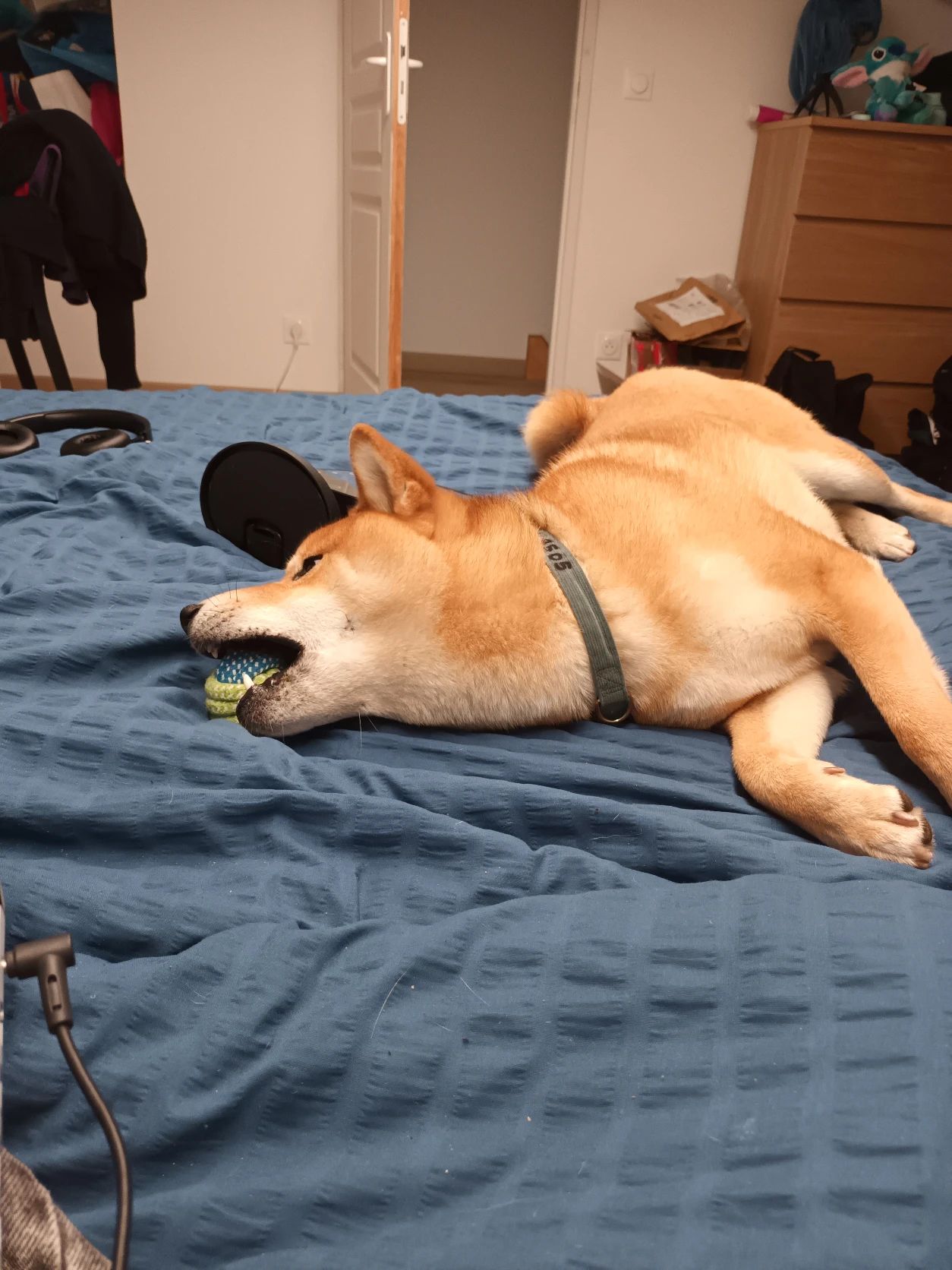image-9