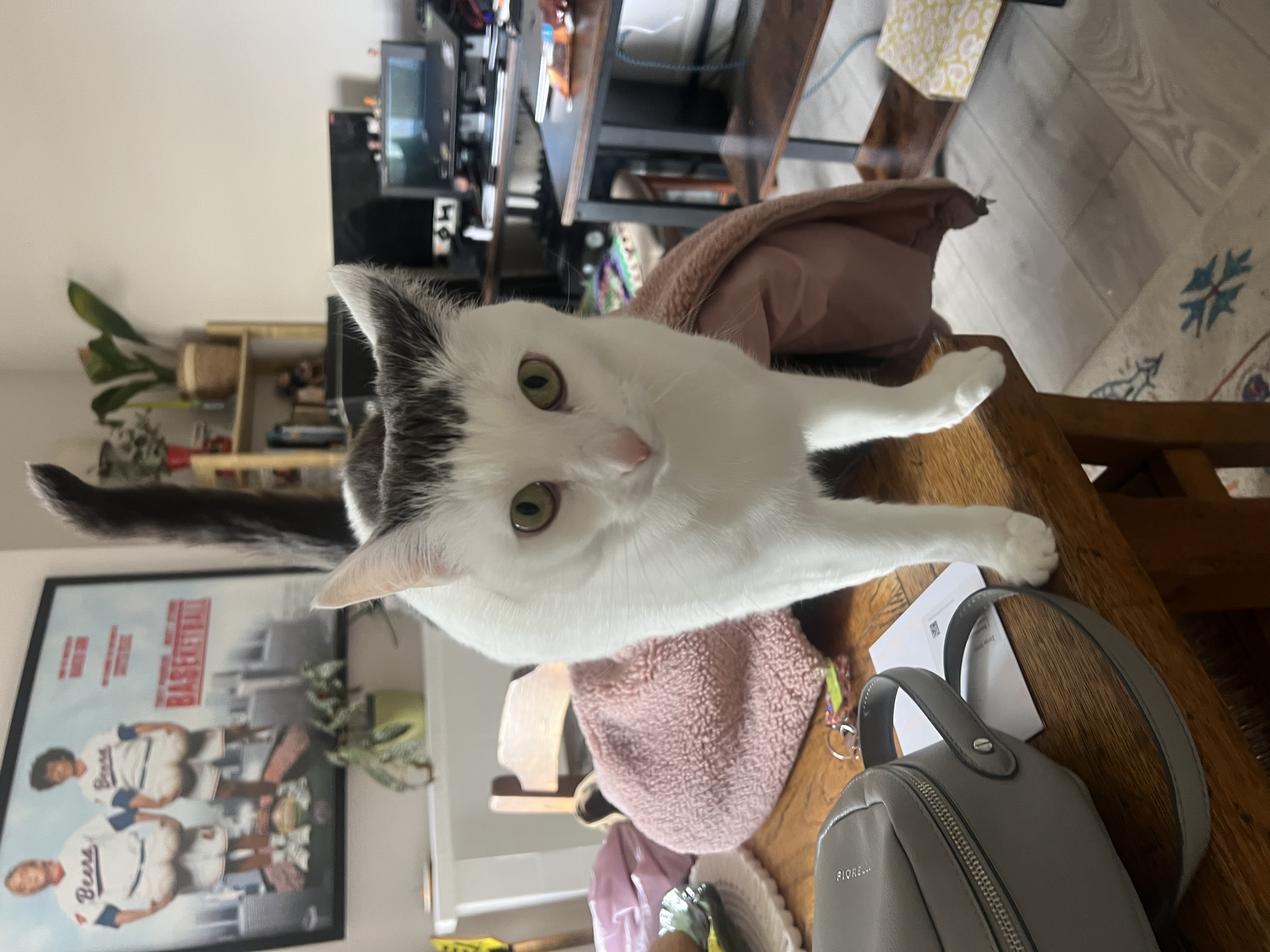image-29