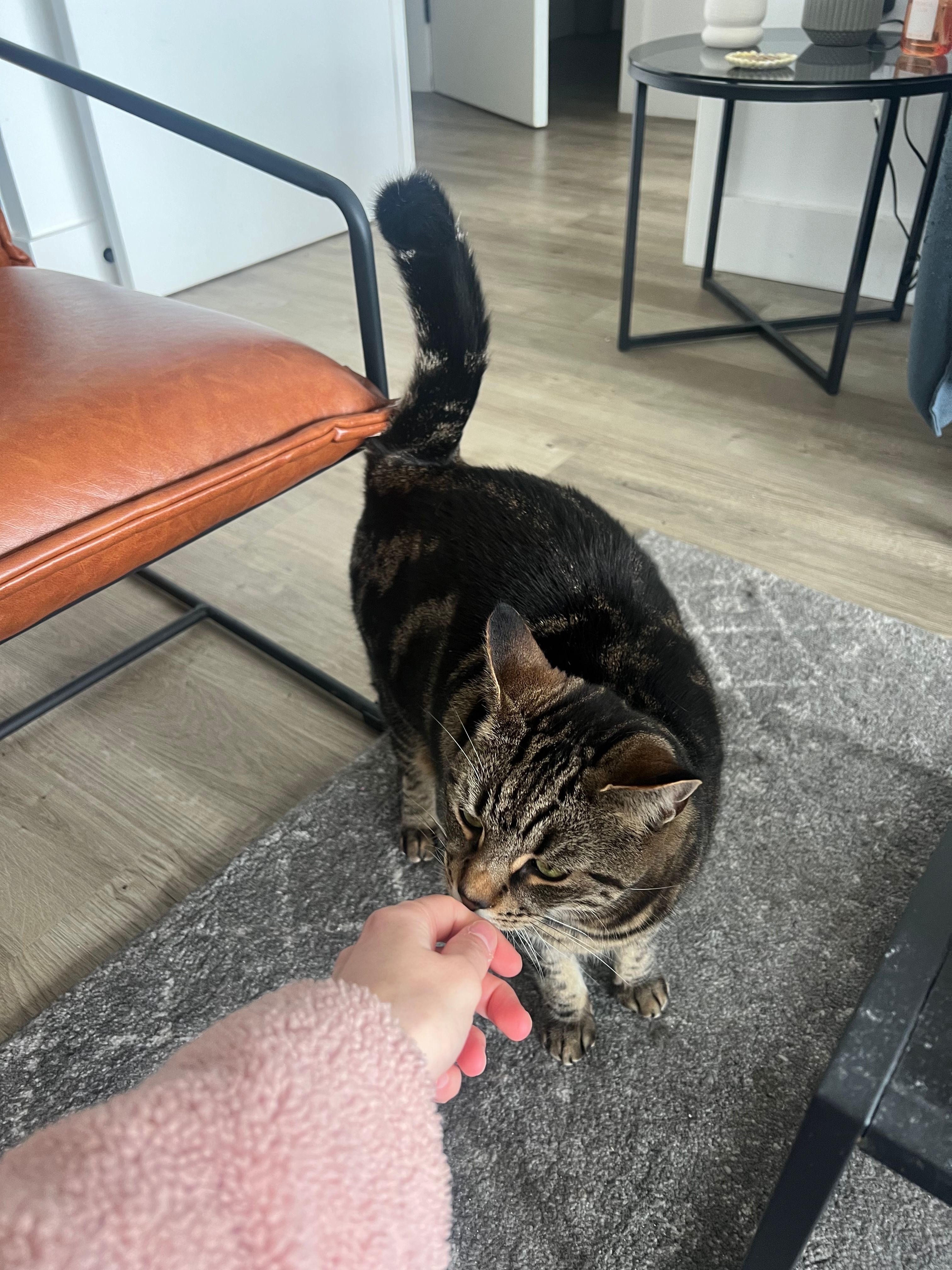 image-28