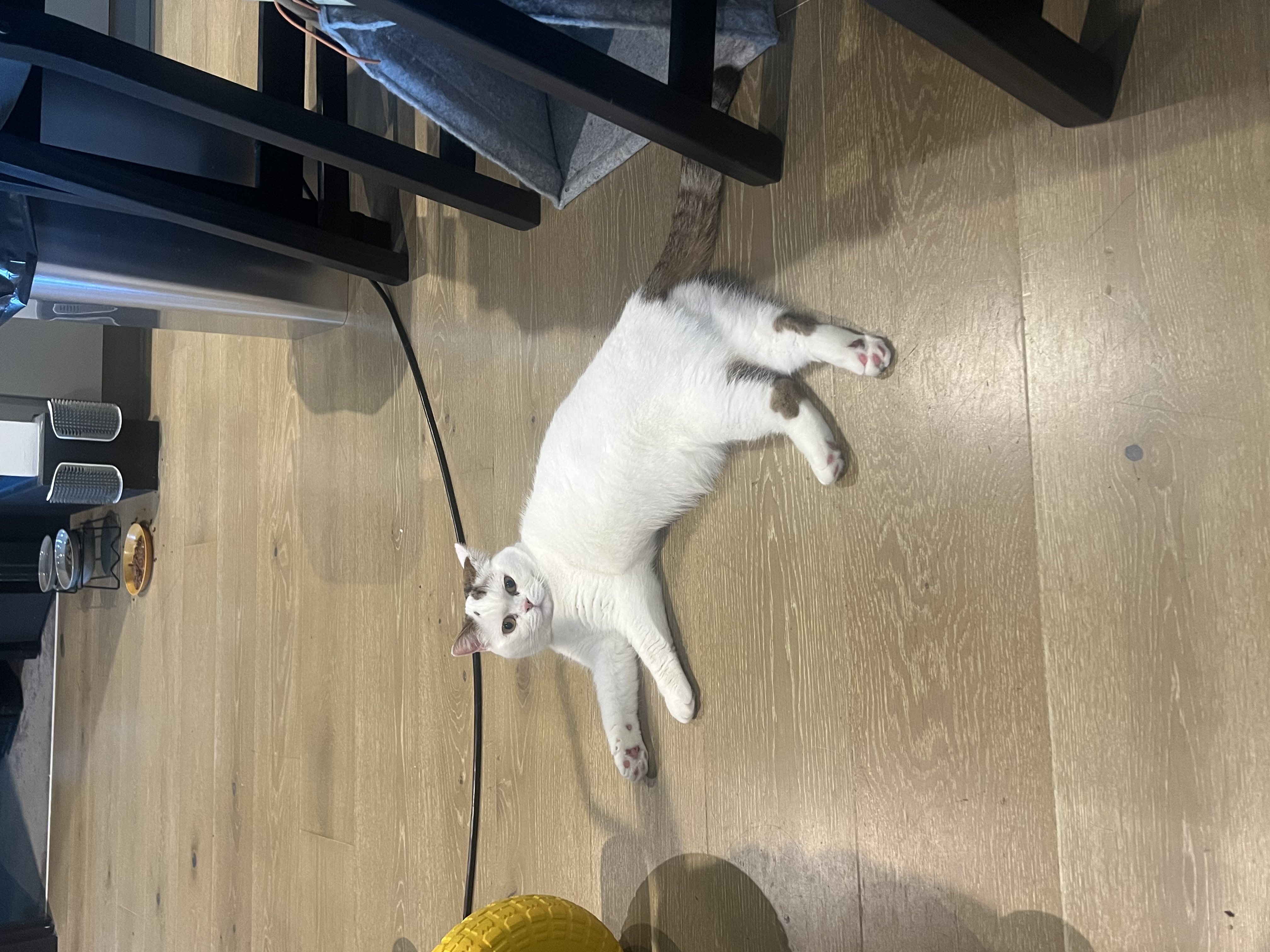 image-26