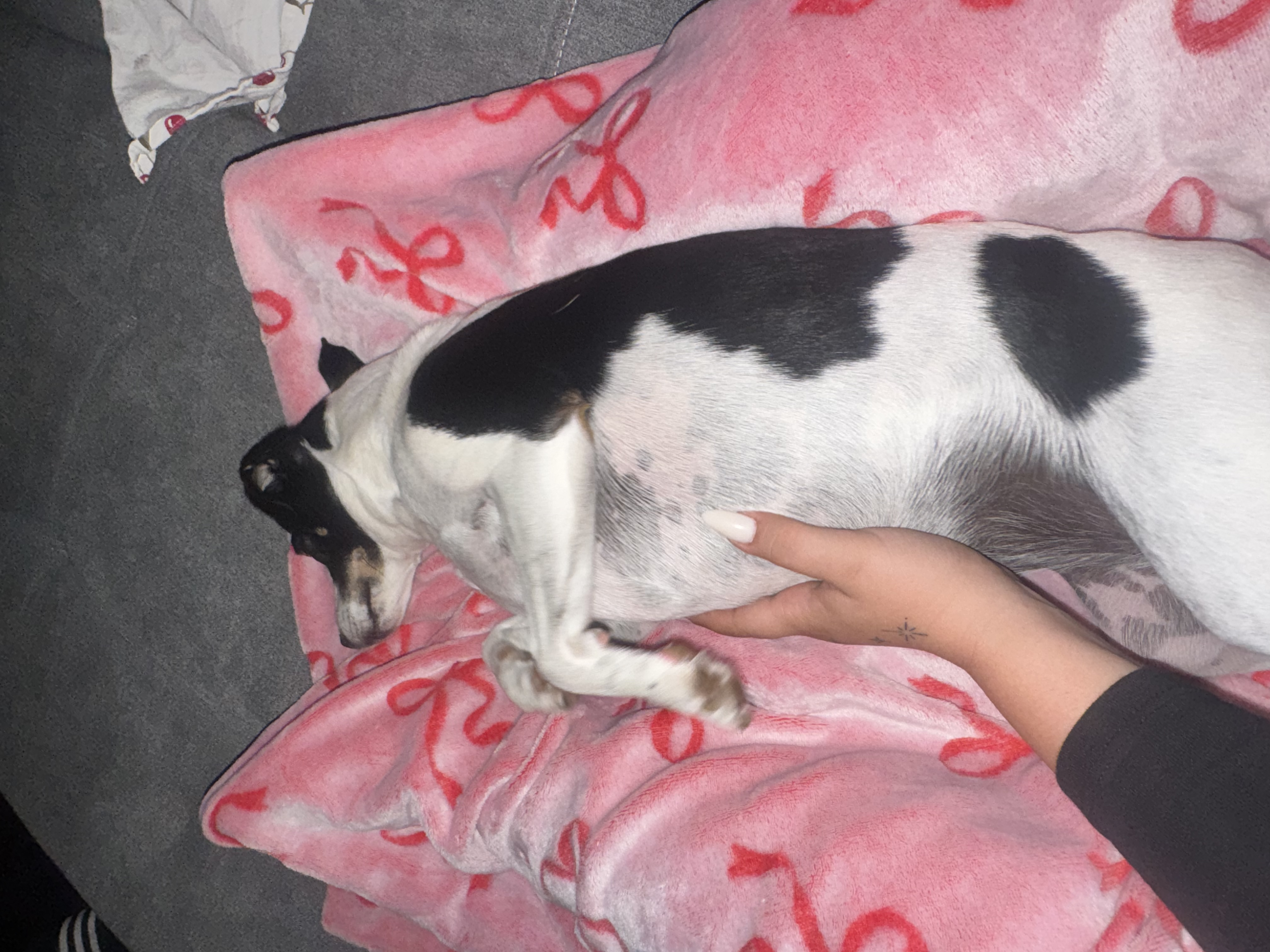 image-7