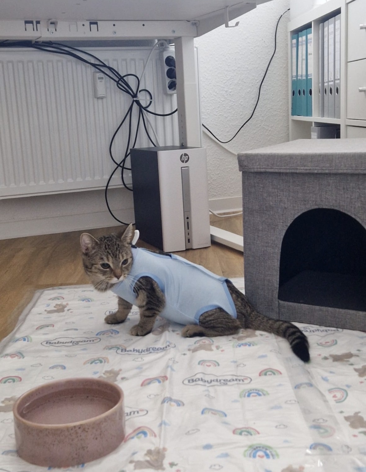 image-10