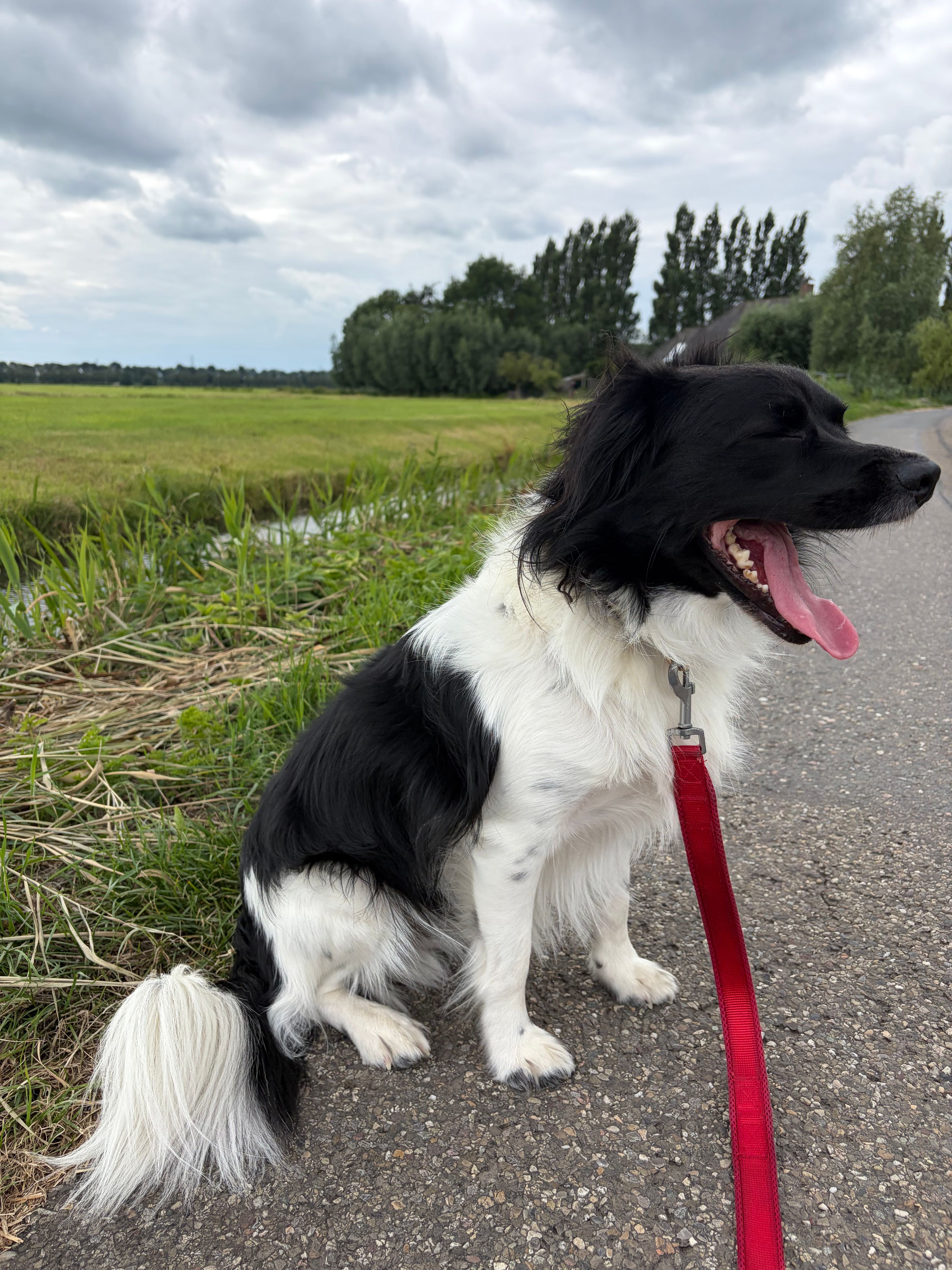 image-22