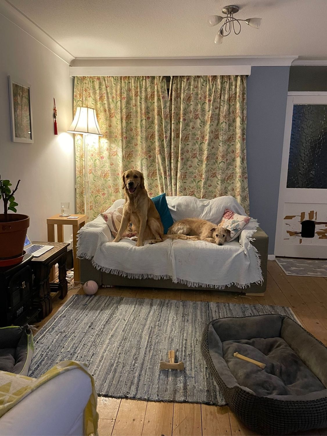 image-12