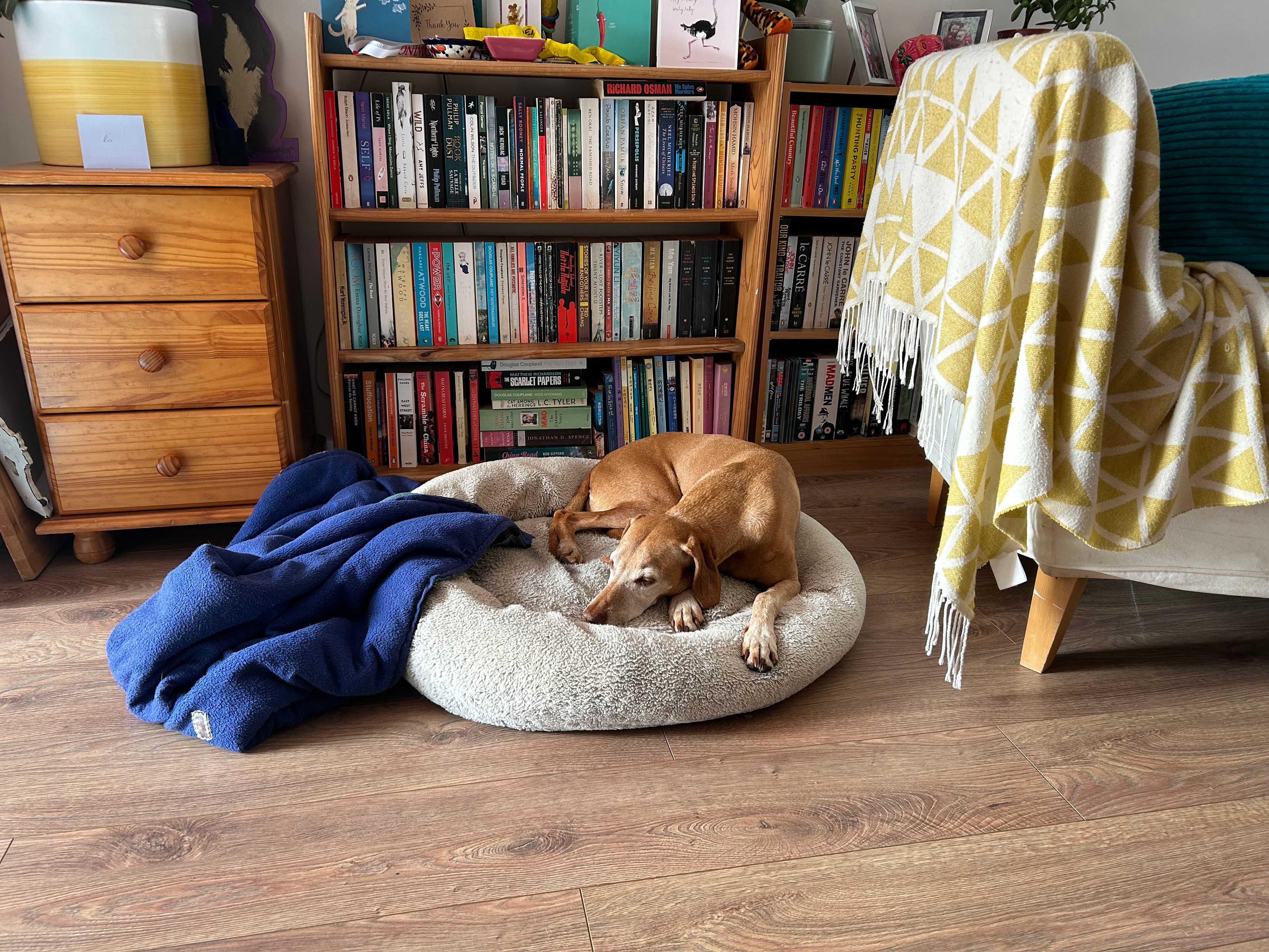 image-18