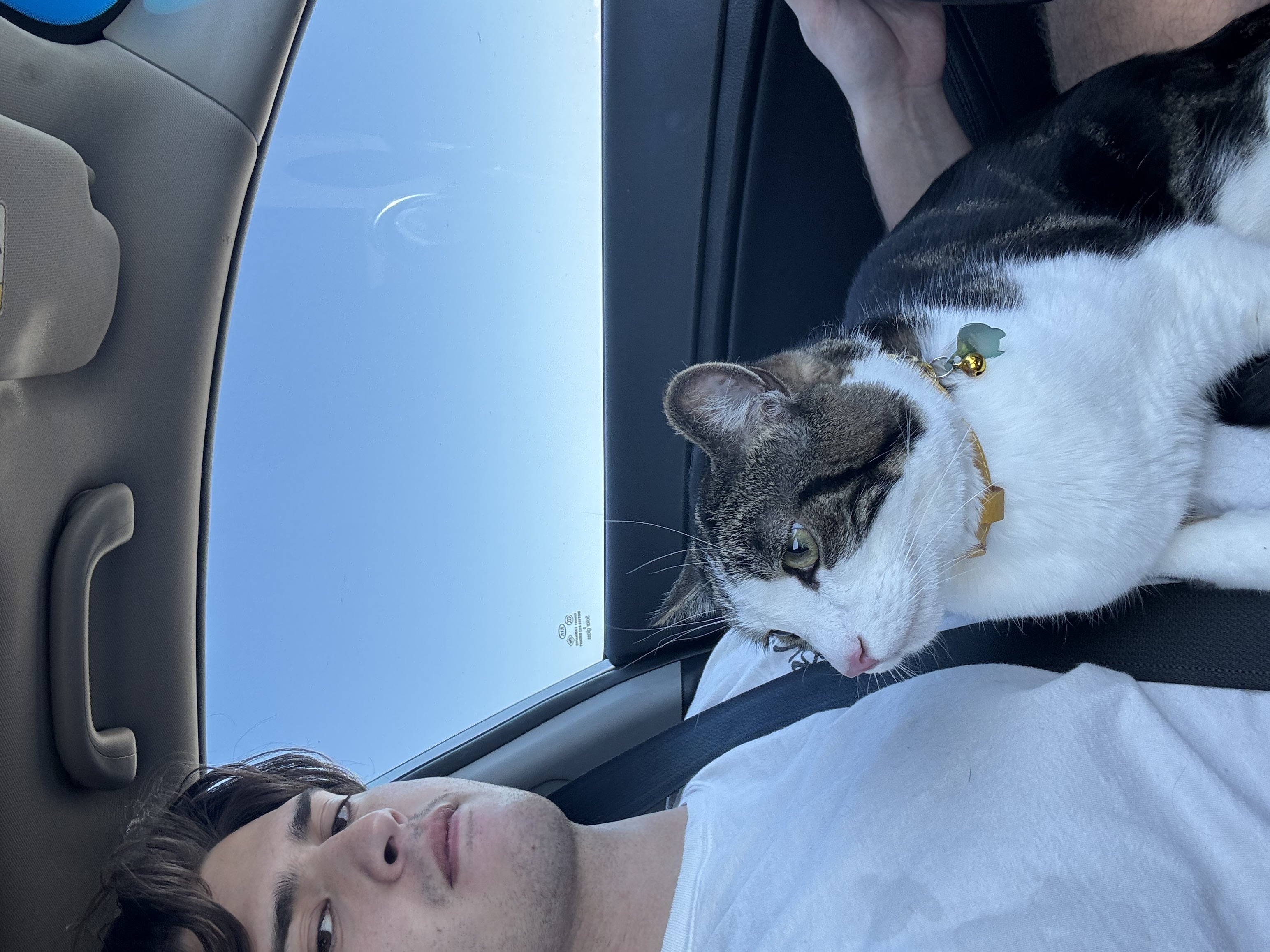 image-14