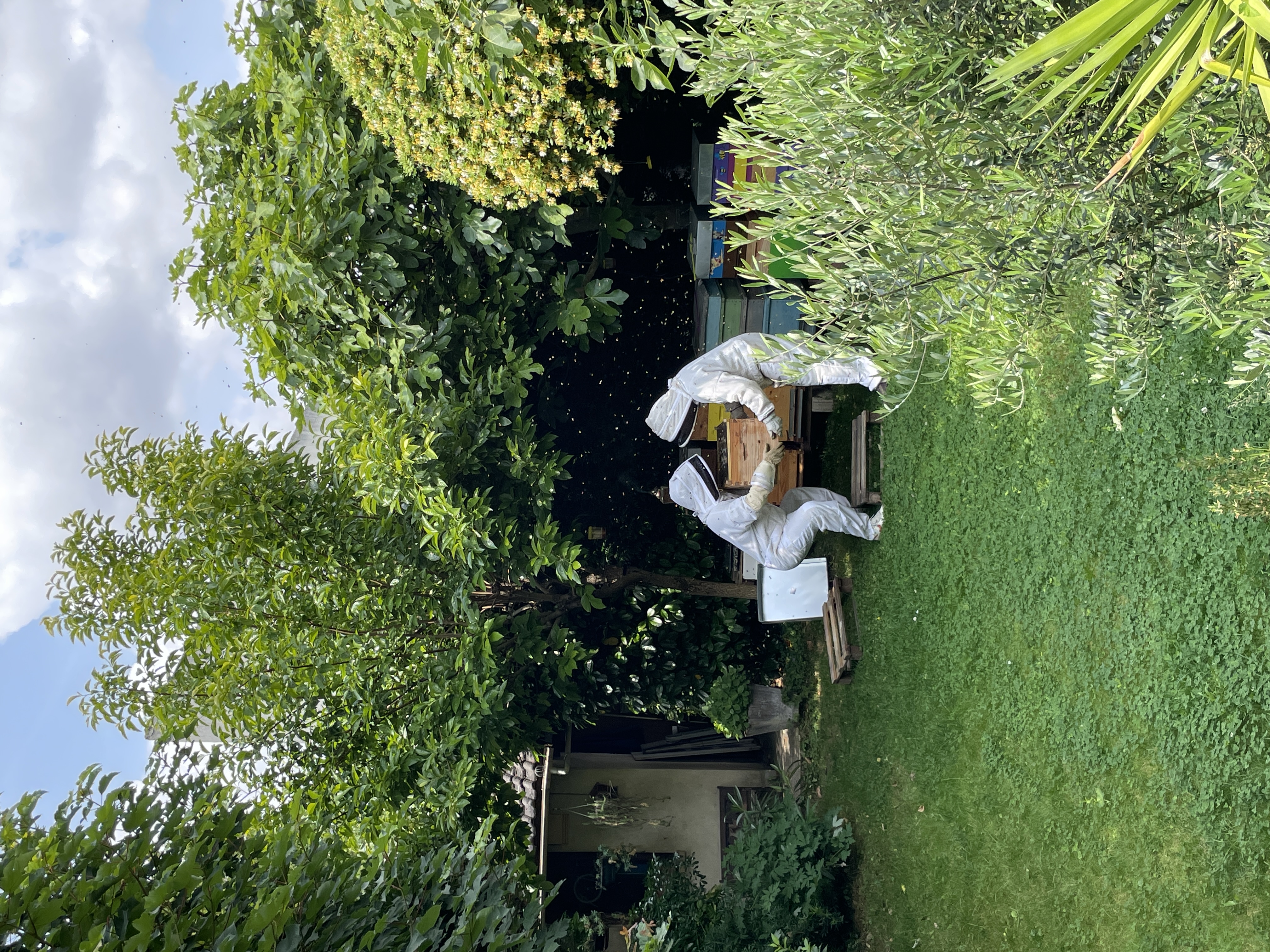 image-12