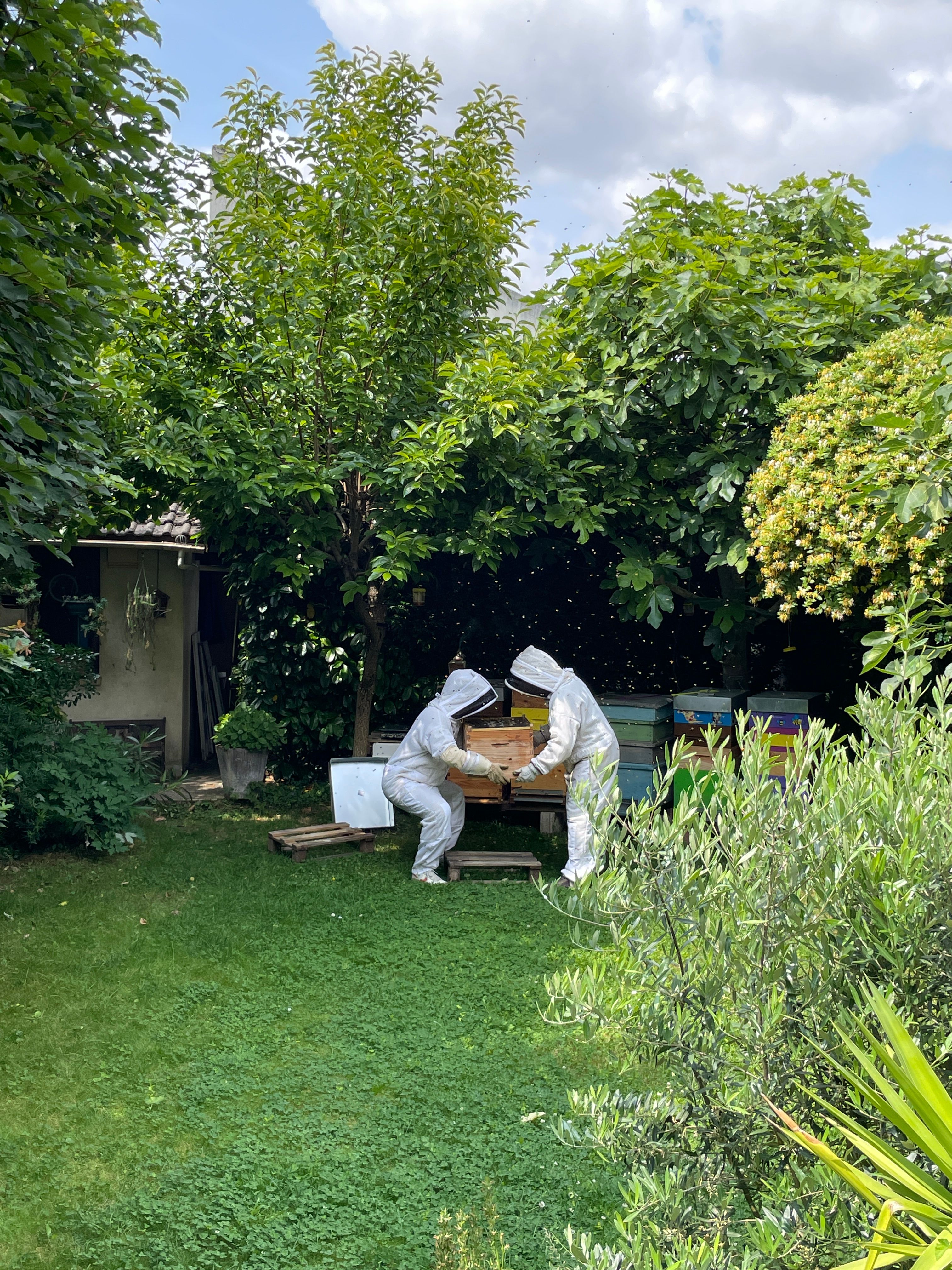 image-12