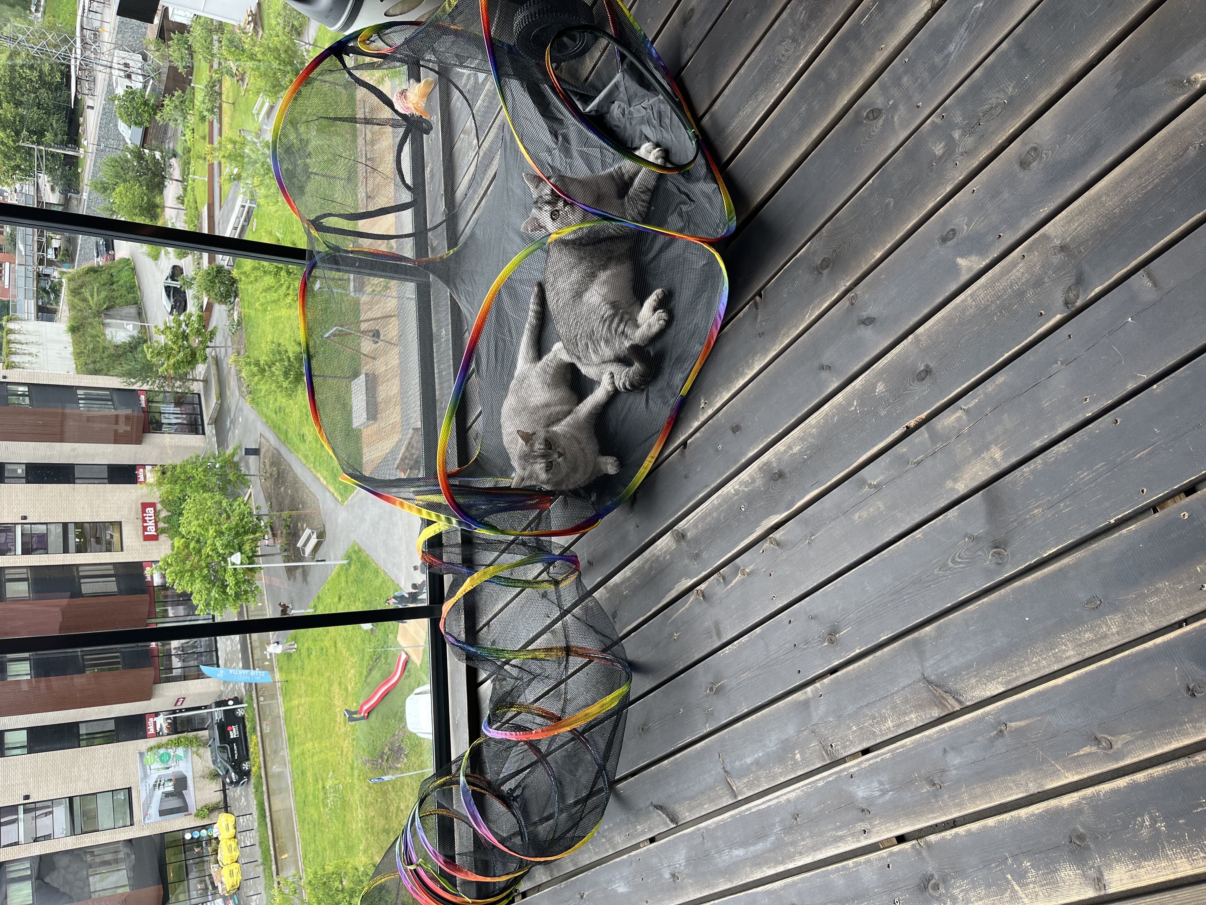 image-16