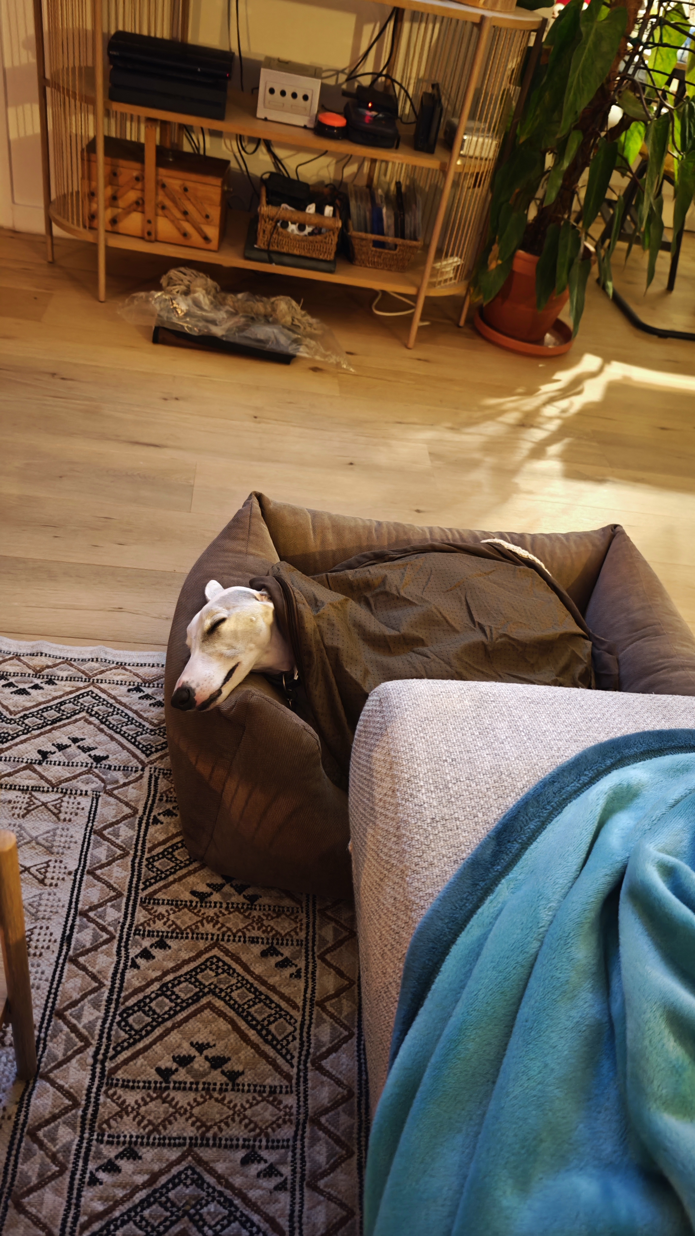 image-12