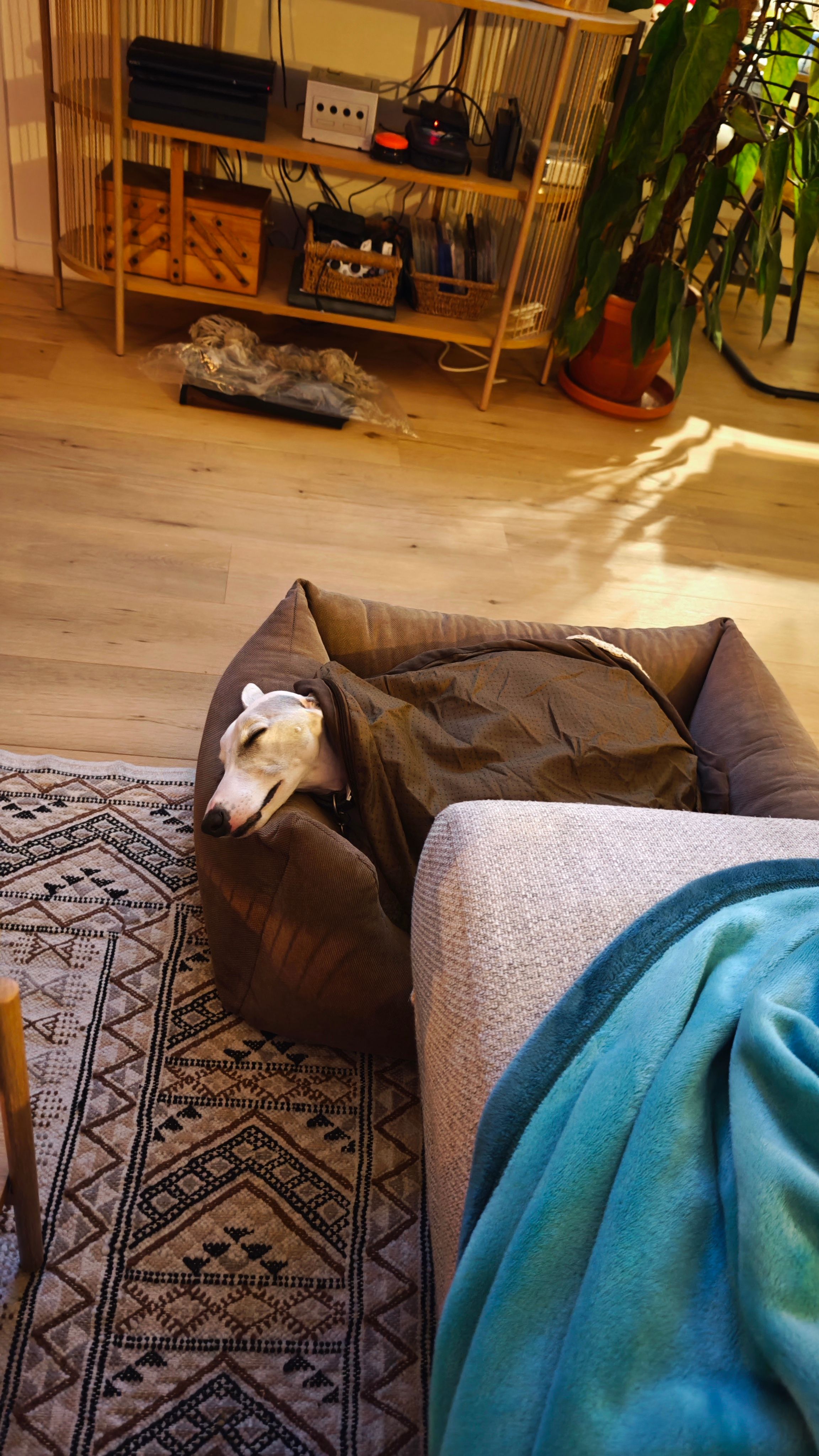 image-12
