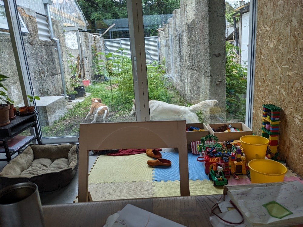 image-7