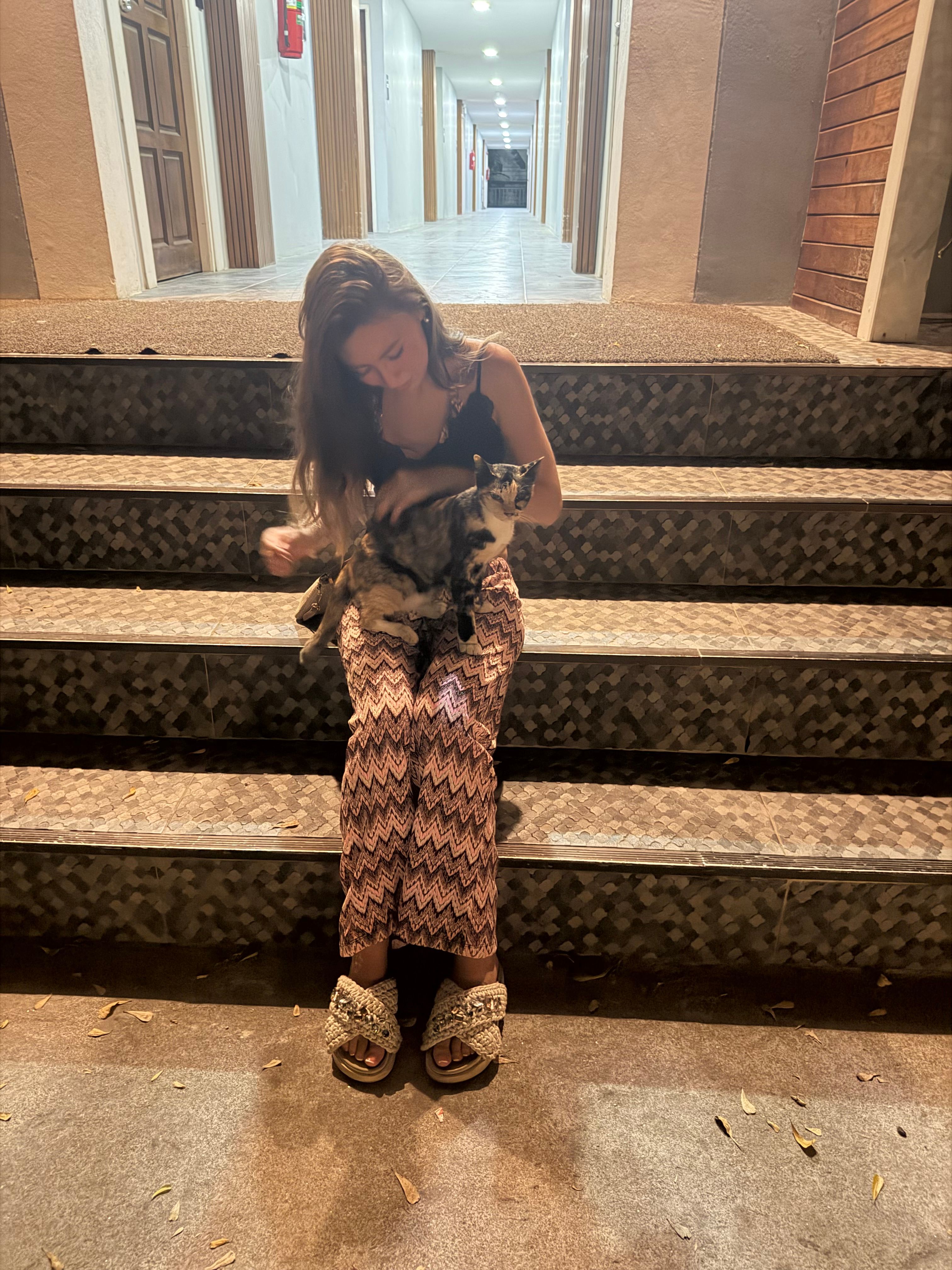 image-6