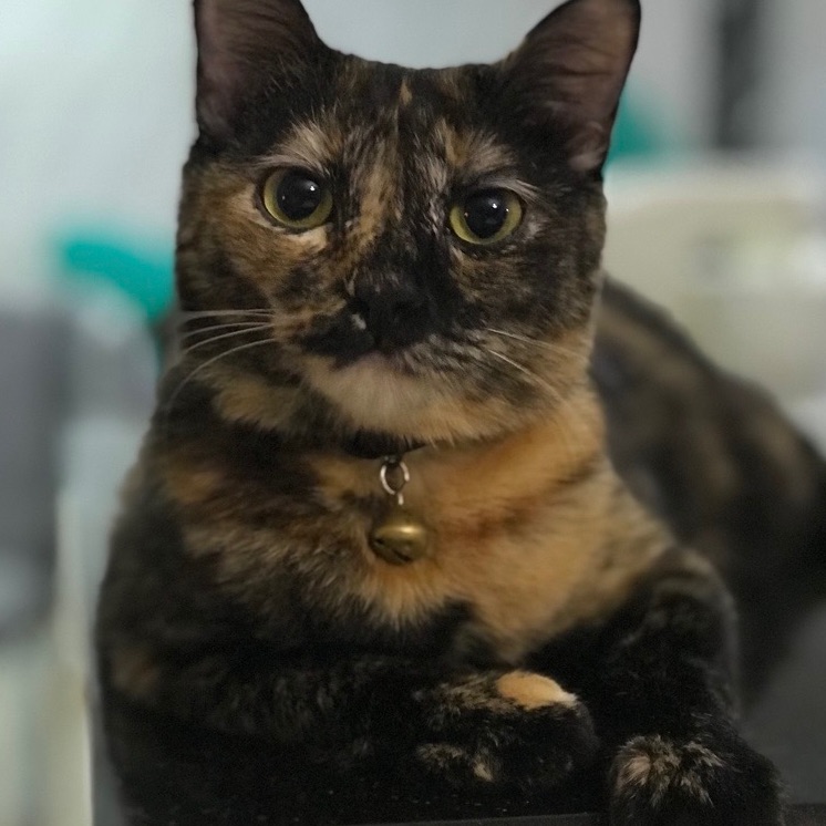 Michu
