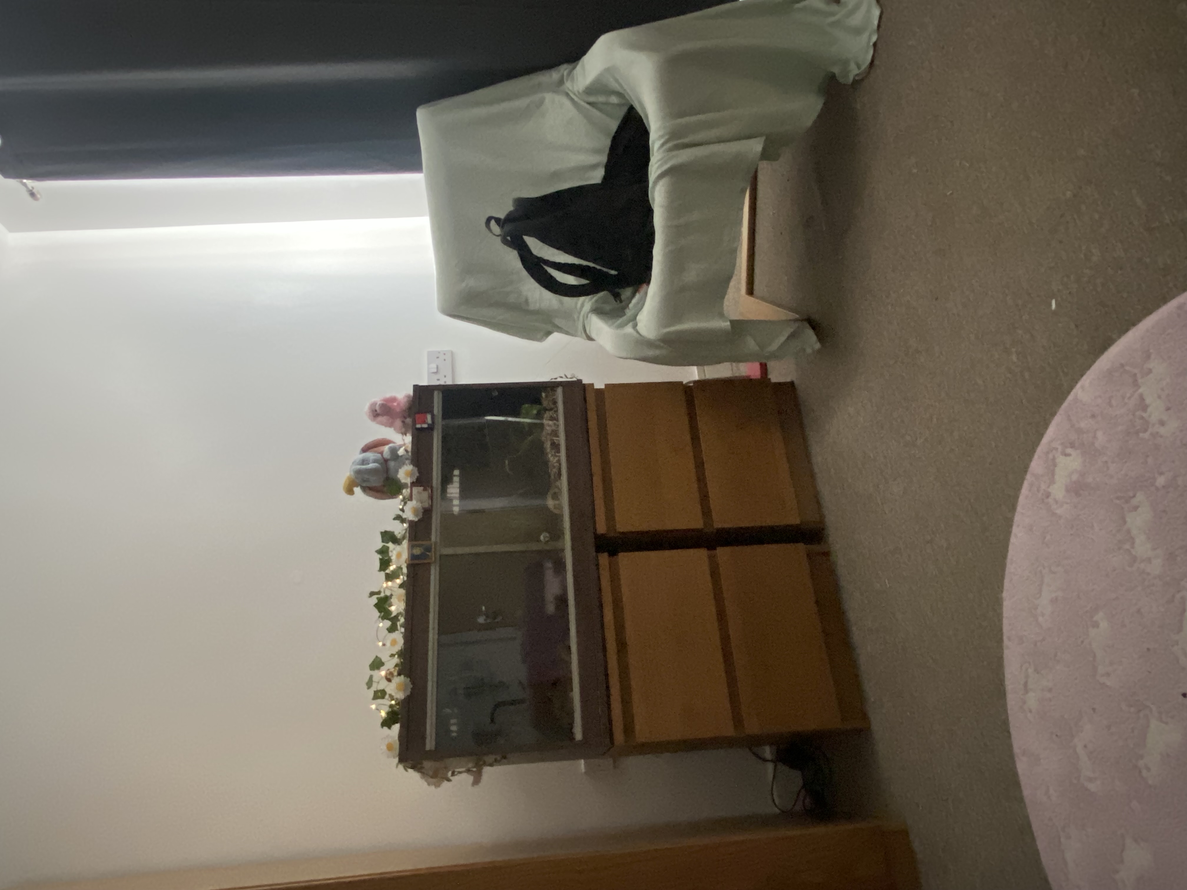 image-19