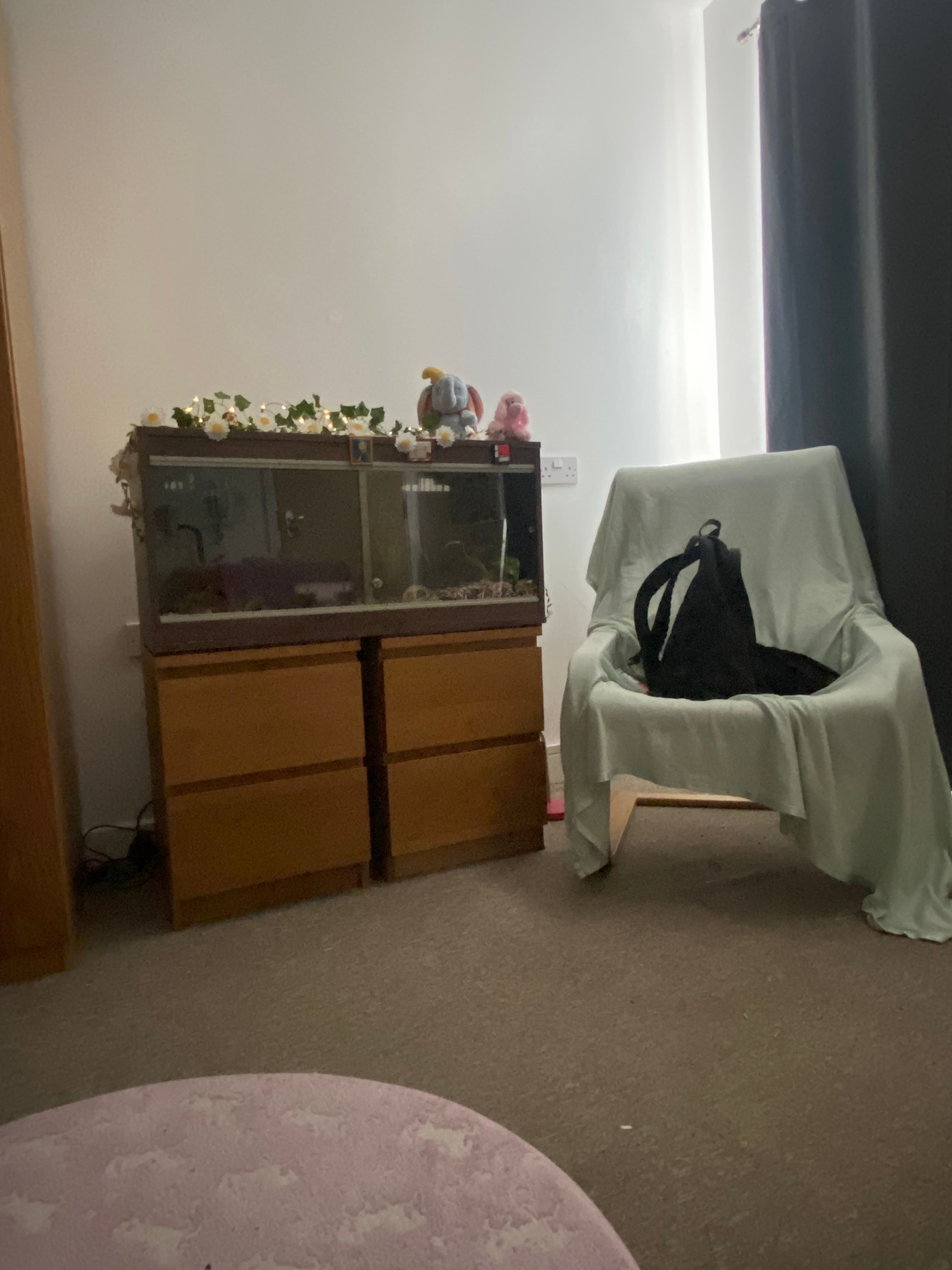 image-19