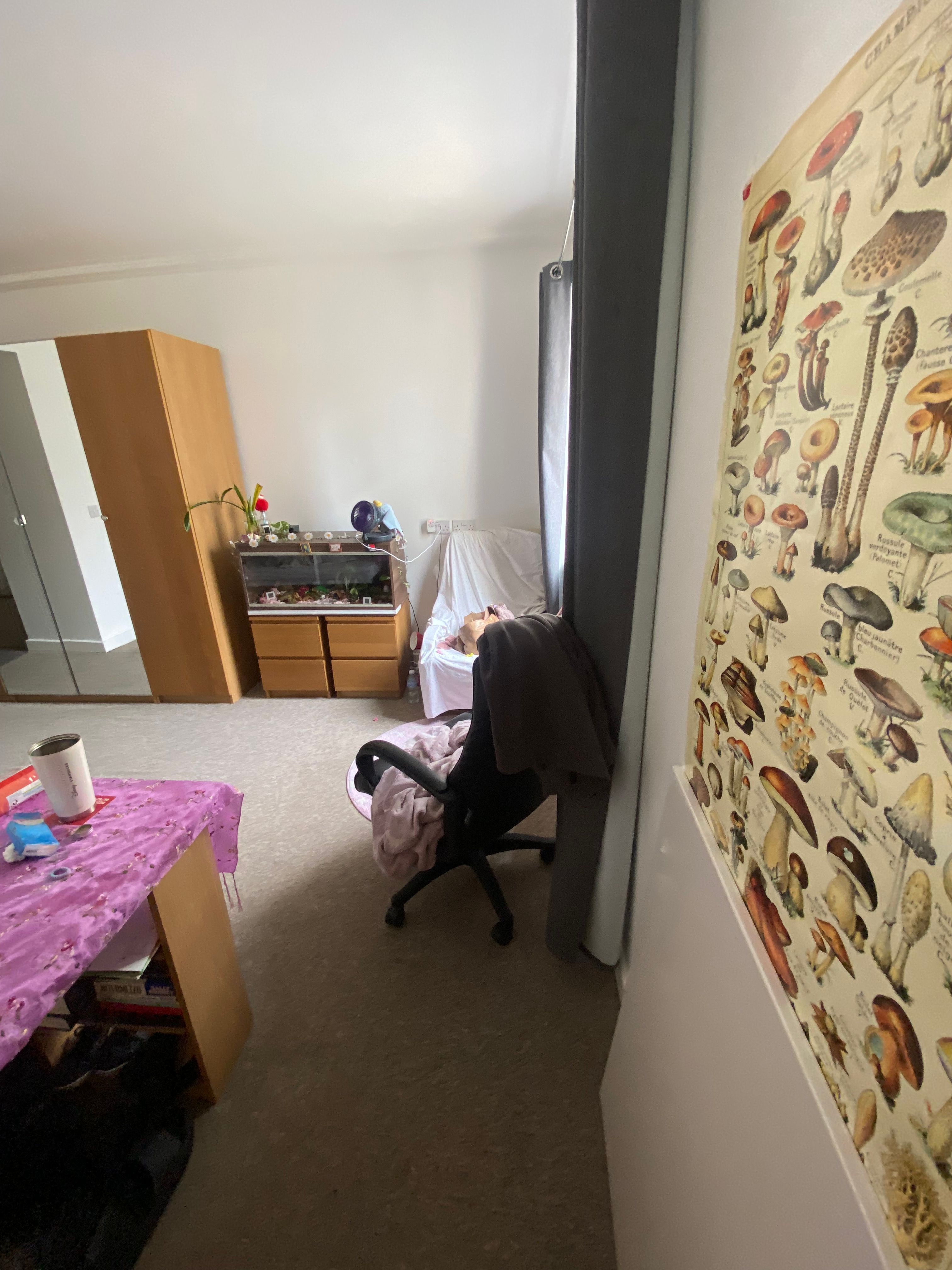 image-20
