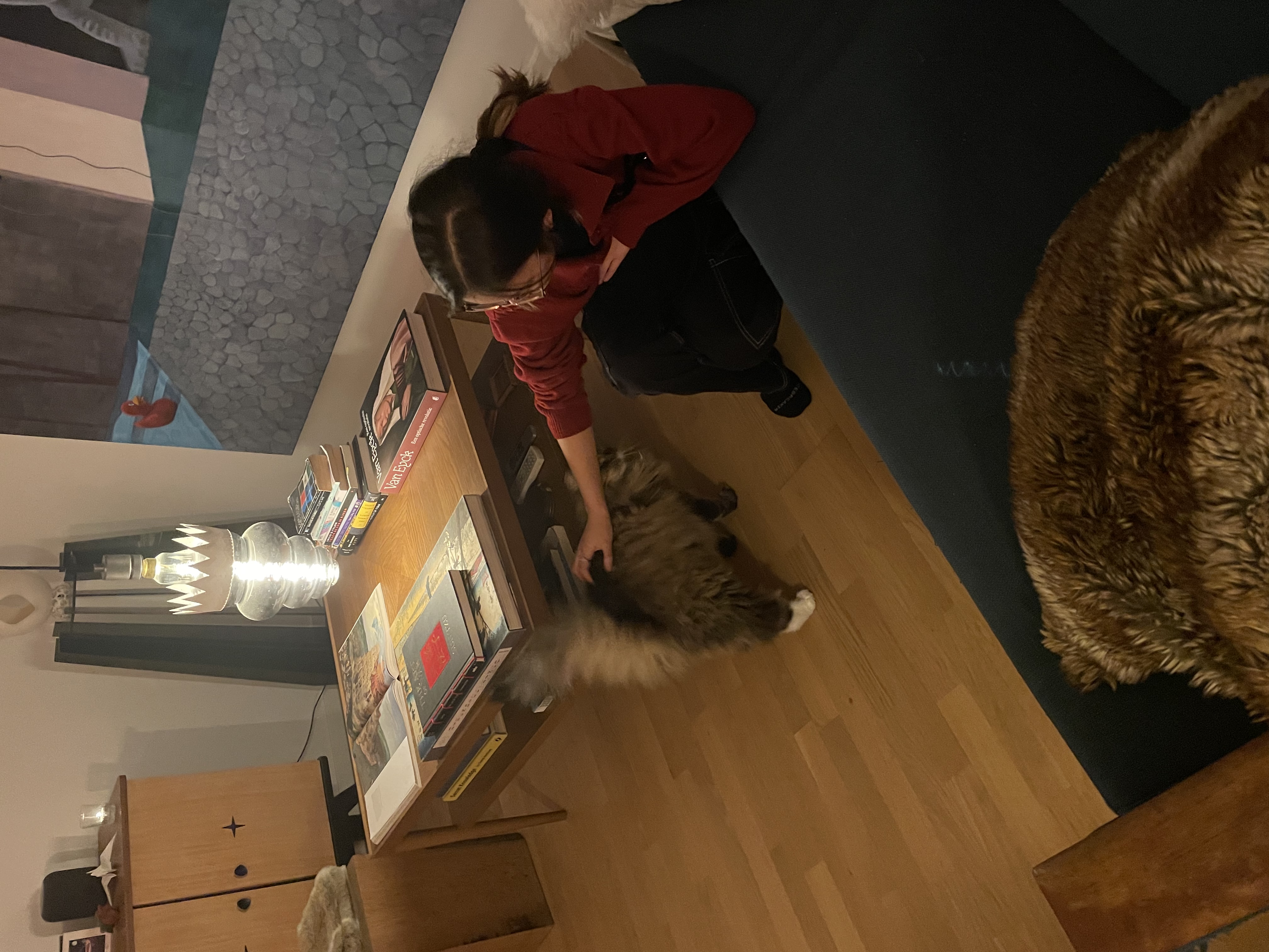 image-5