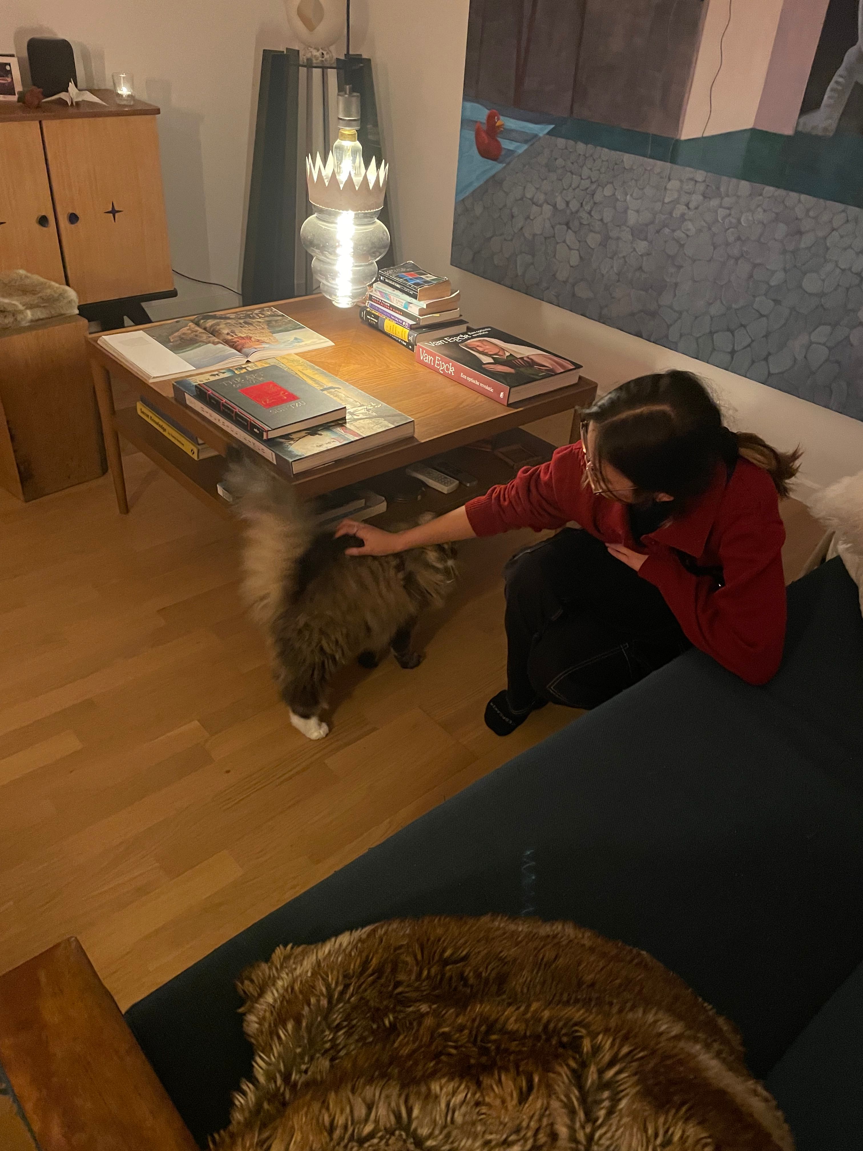 image-5