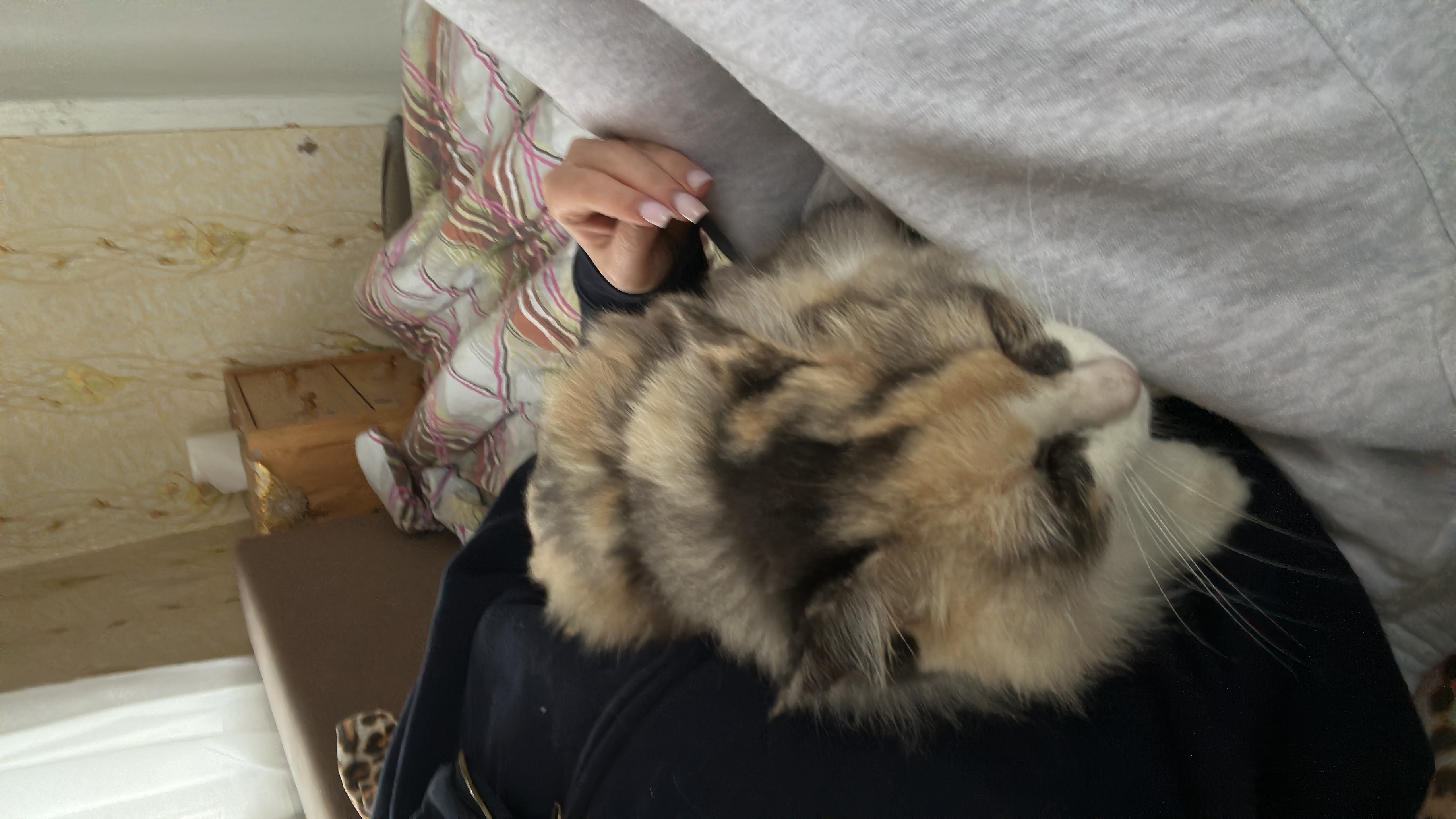 image-8