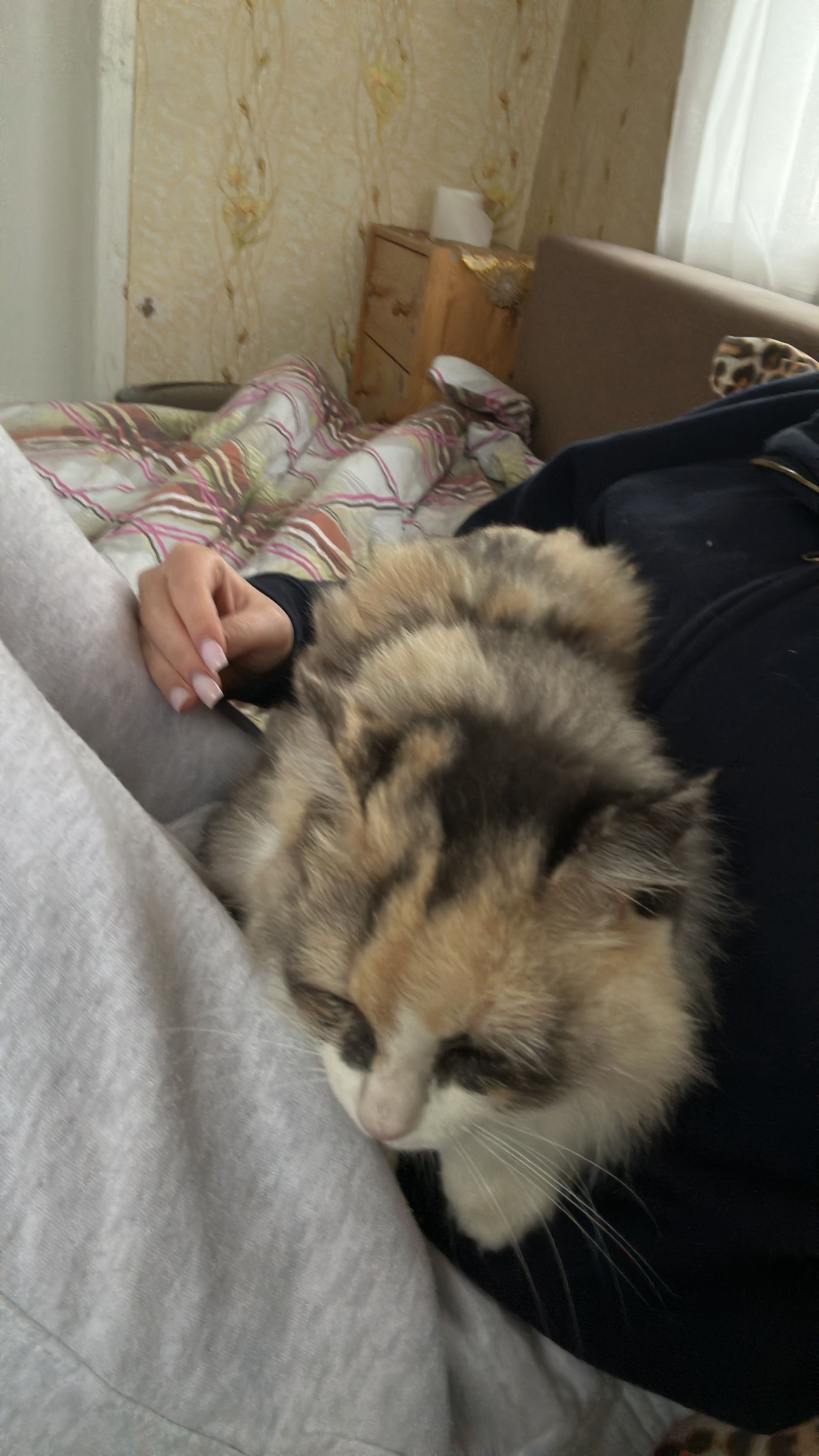 image-8