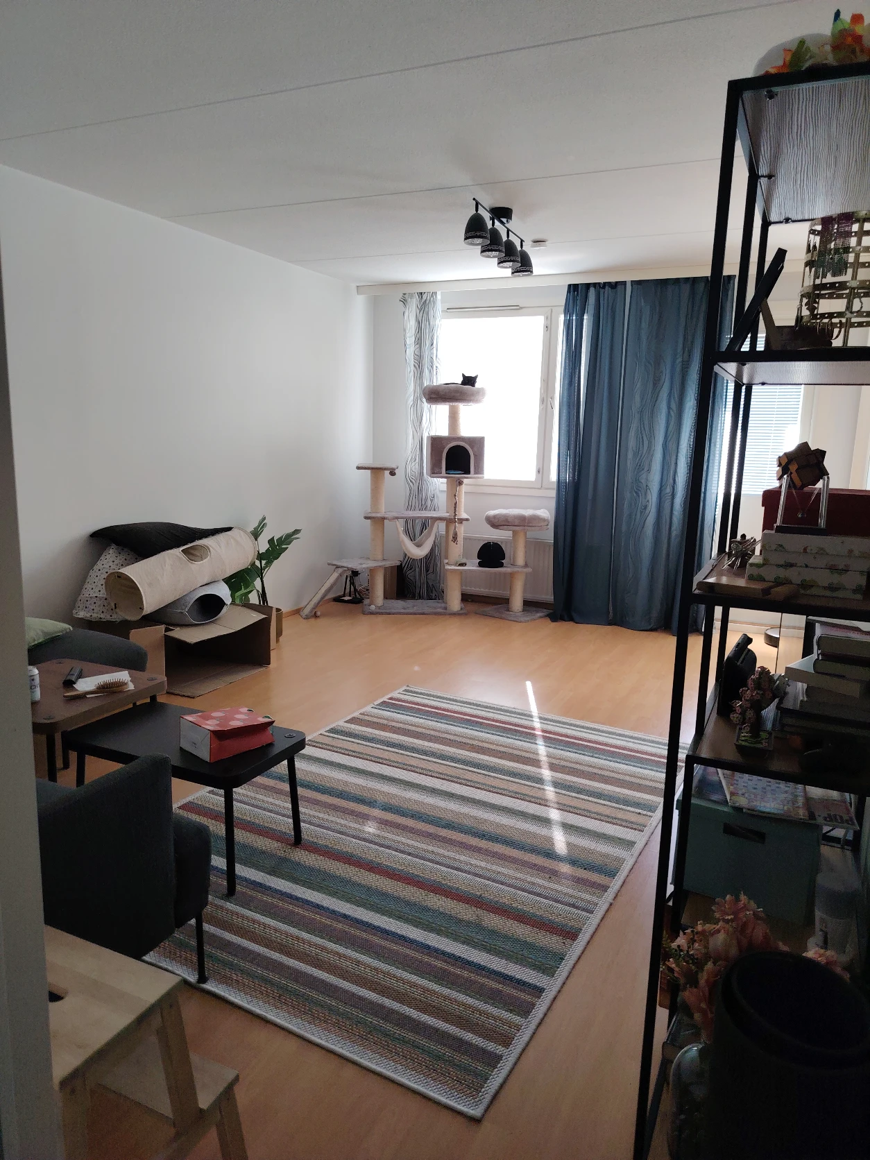 image-9