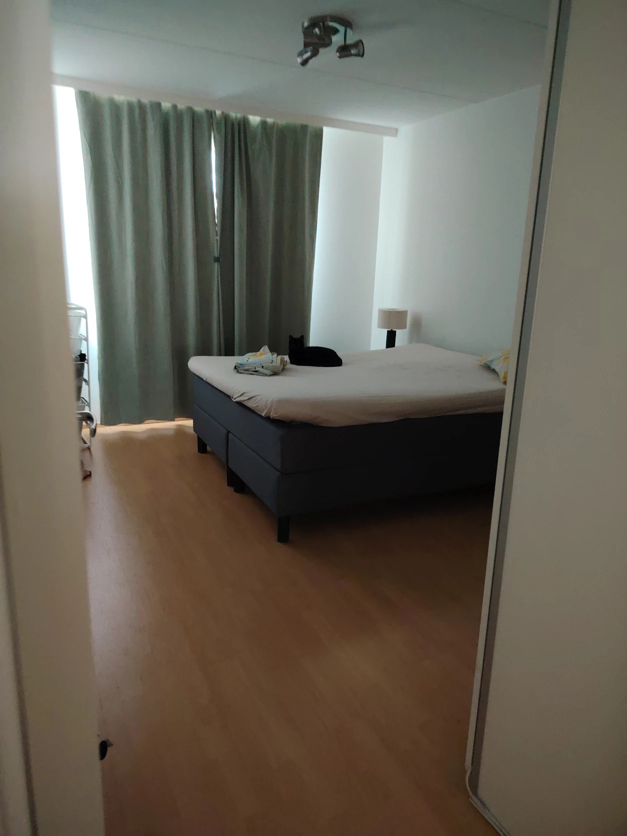 image-10