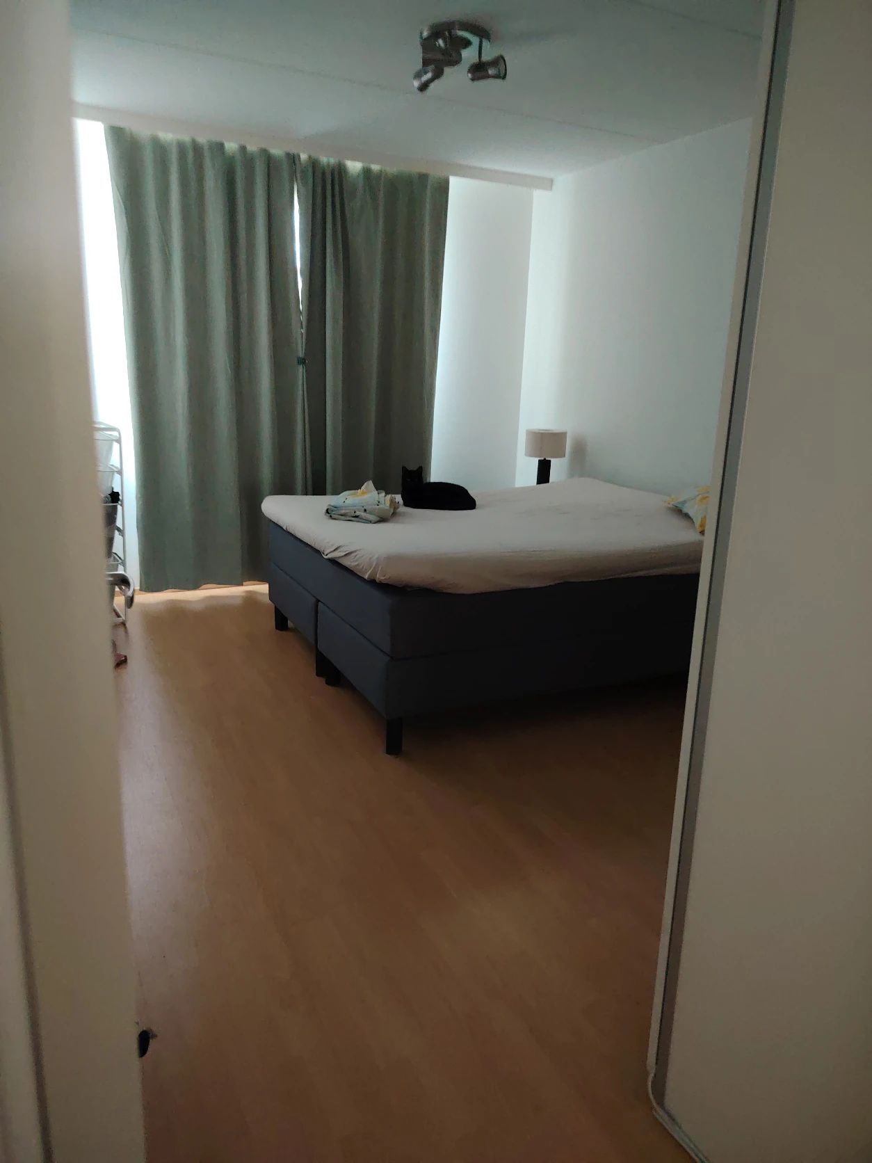 image-10