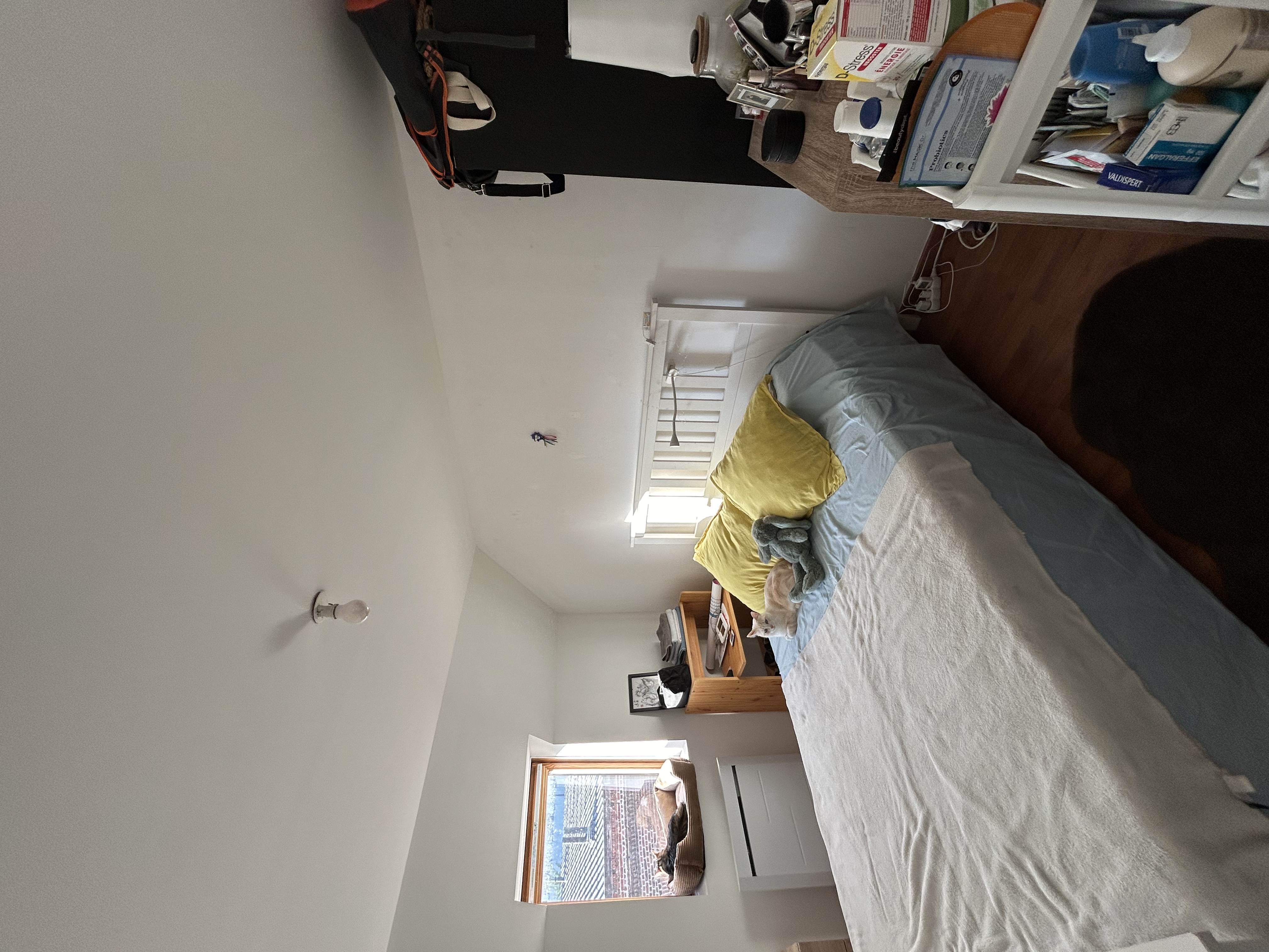 image-14