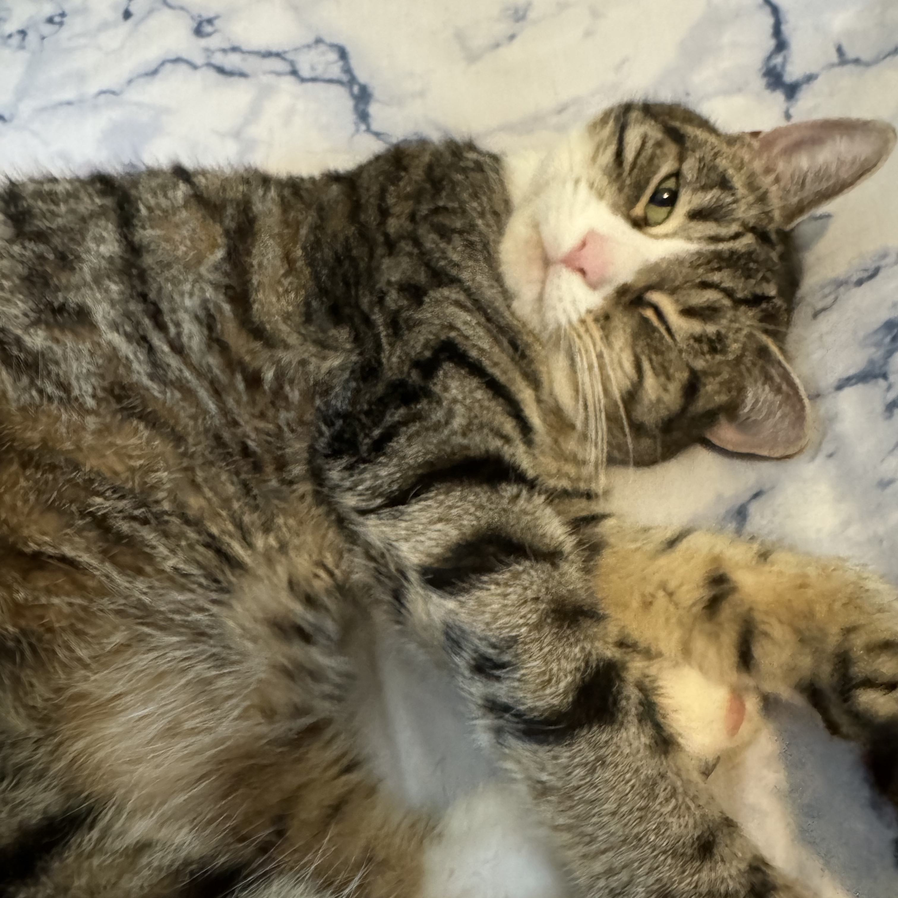 Tigger