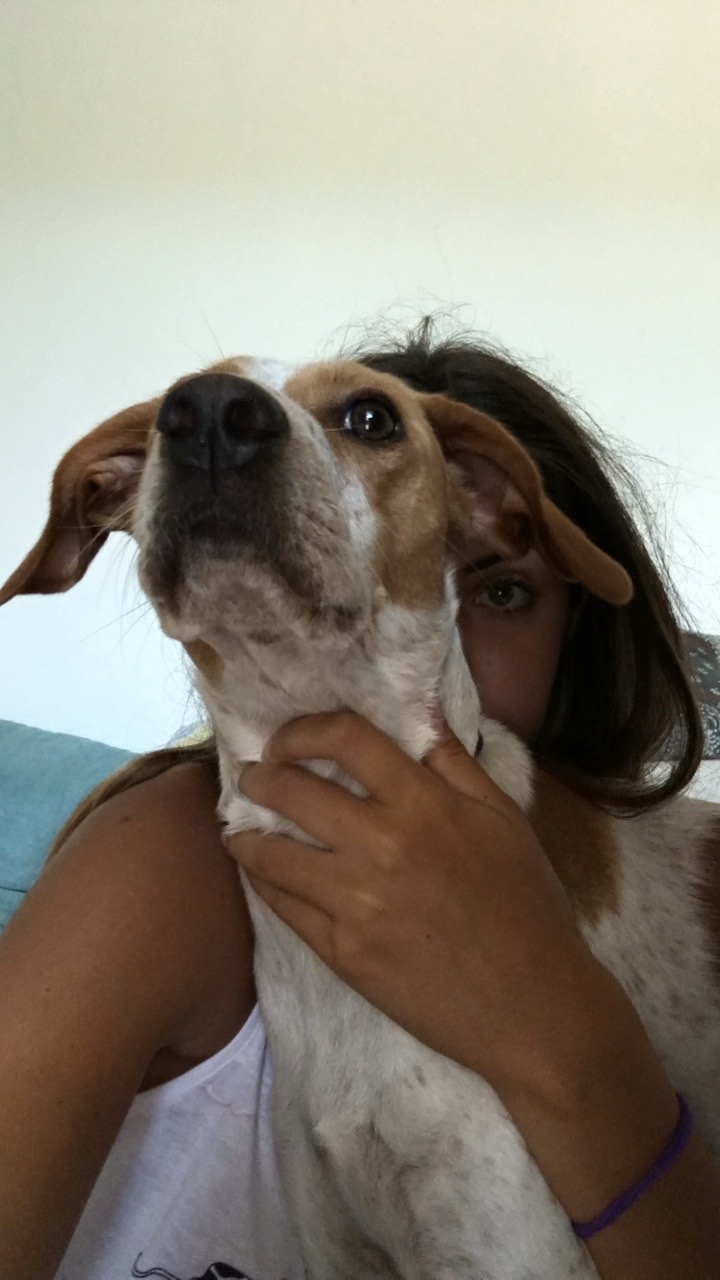 image-5