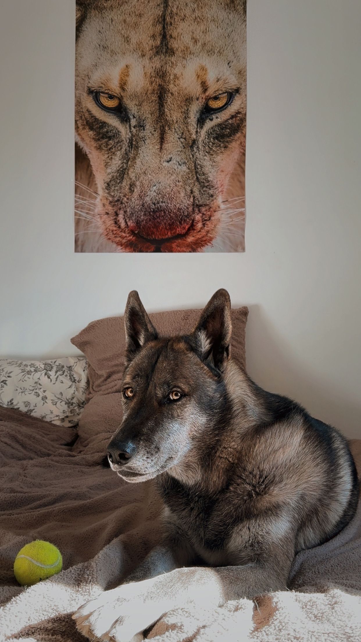 image-16