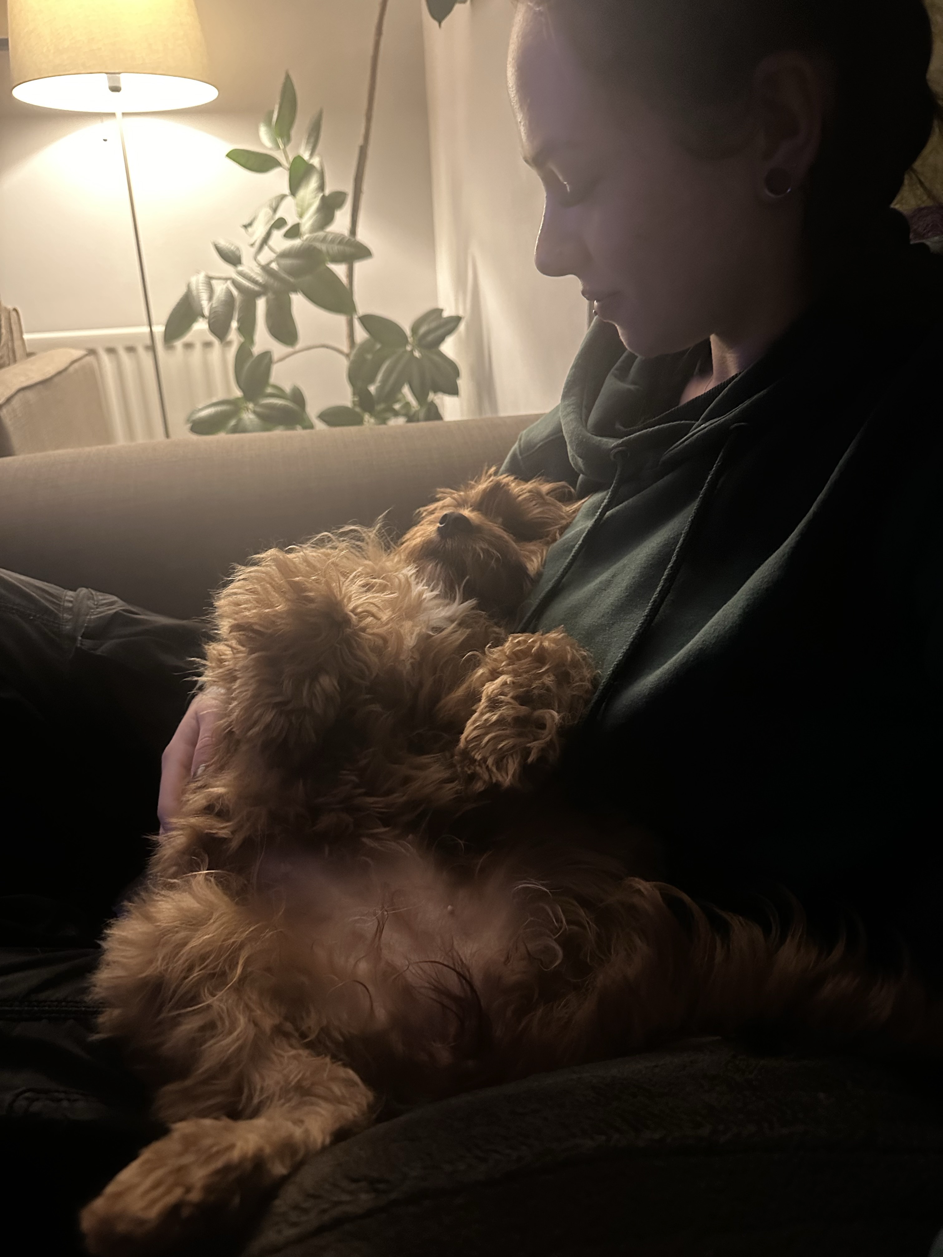image-8
