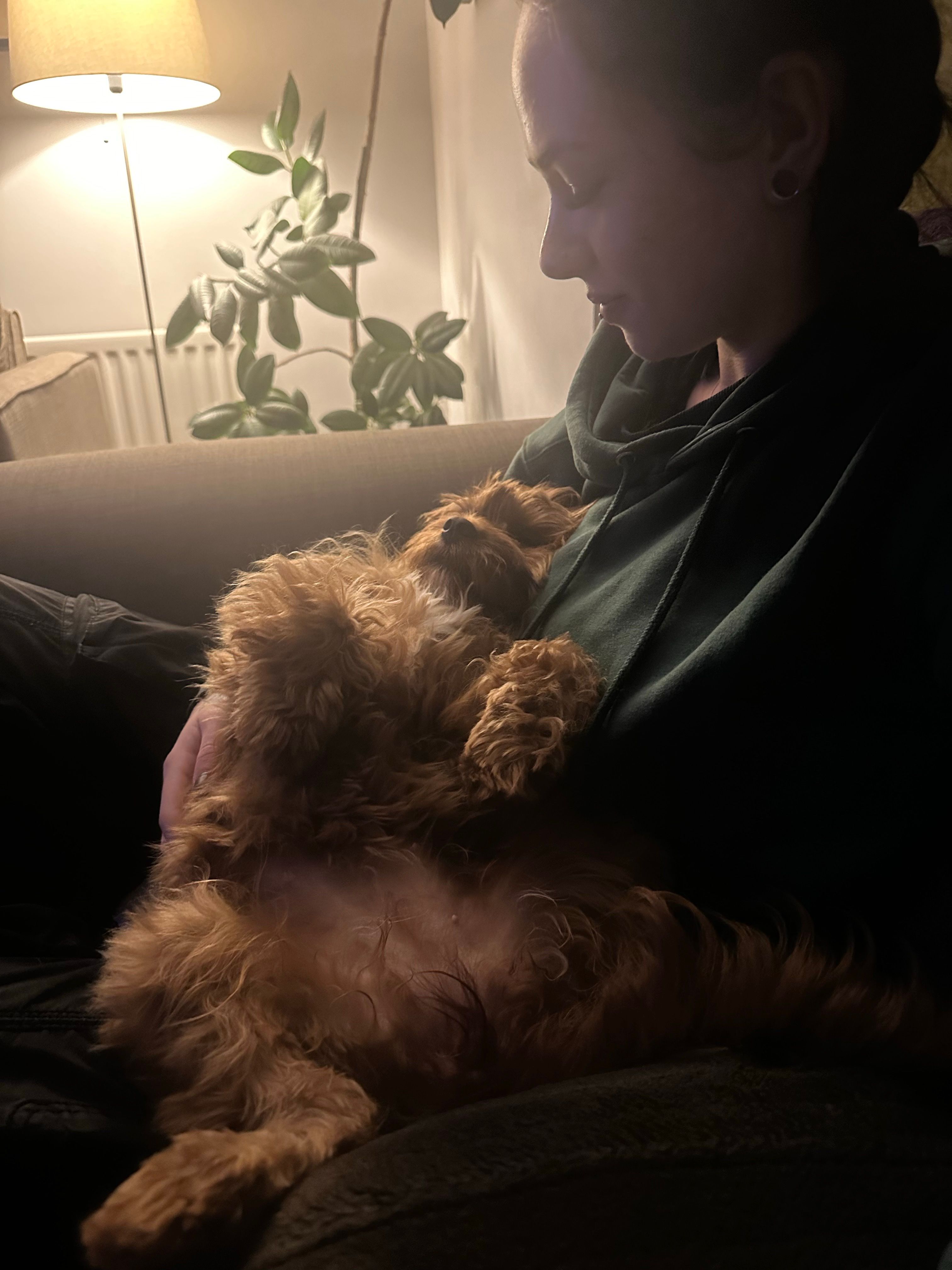 image-8
