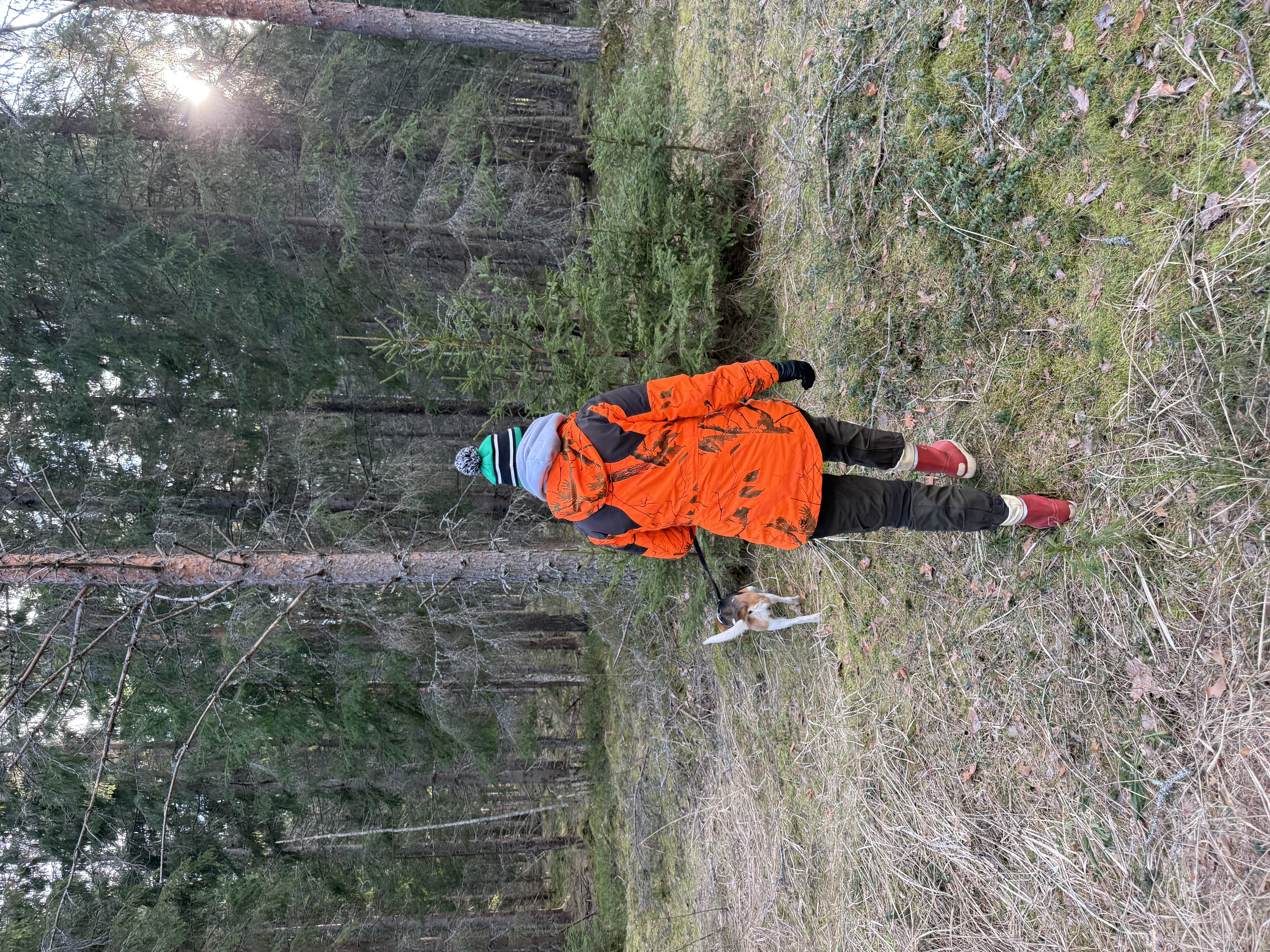 image-4