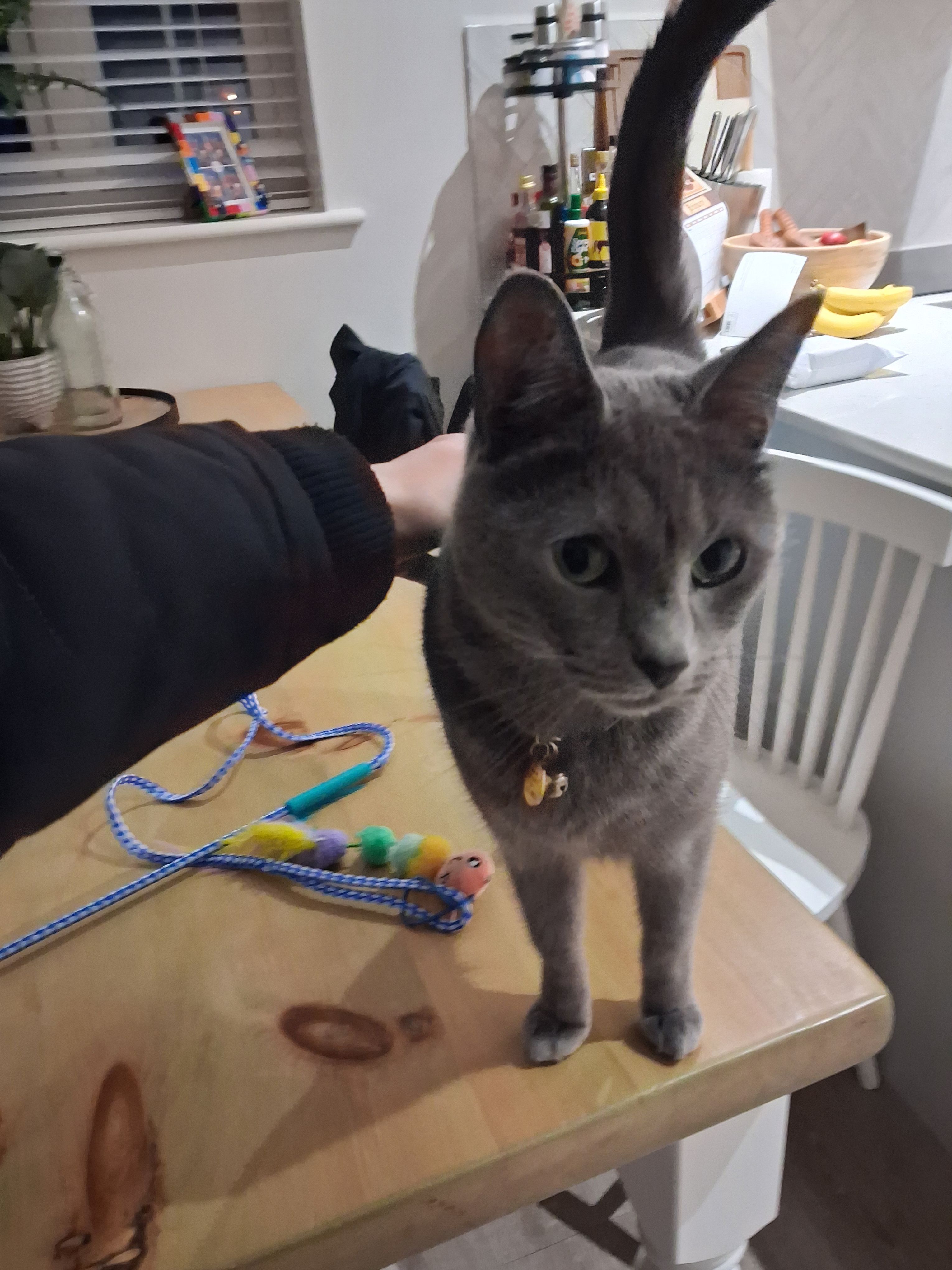 image-6