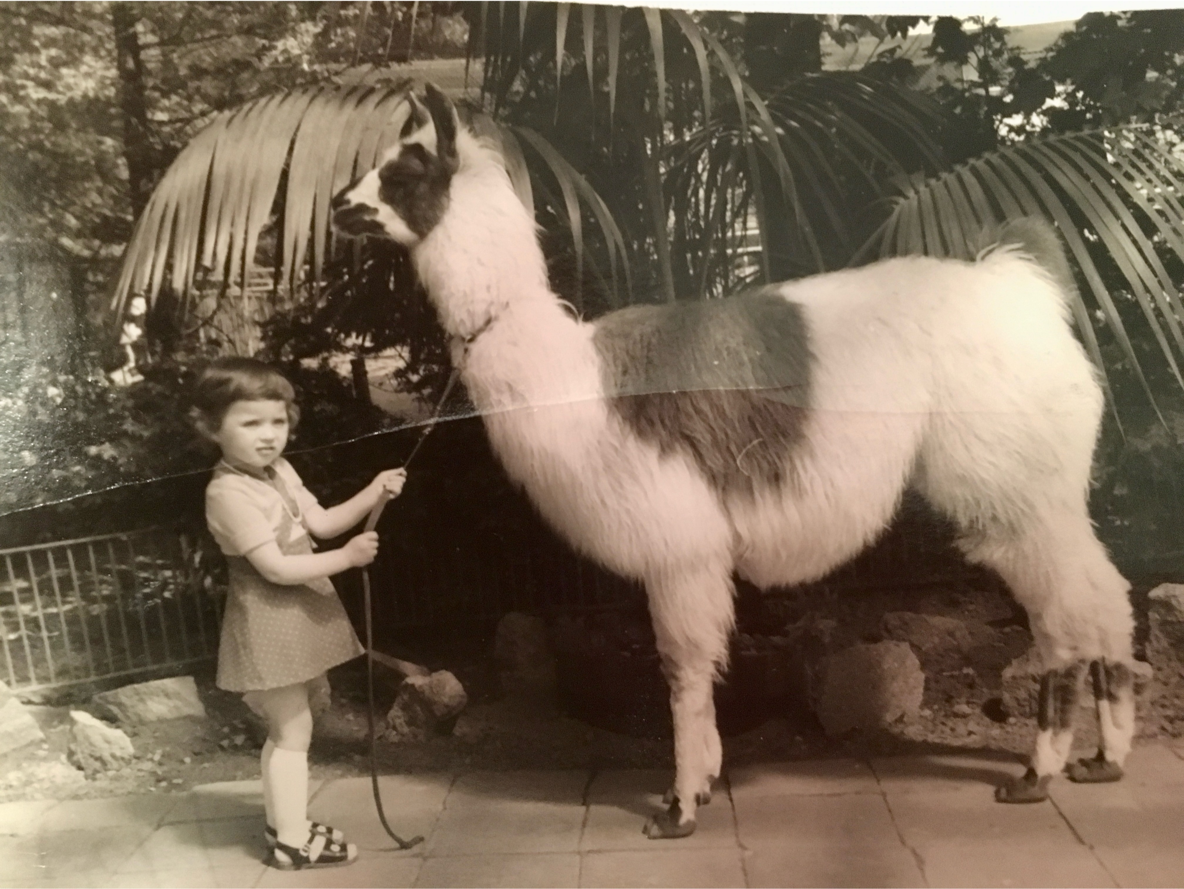 image-8