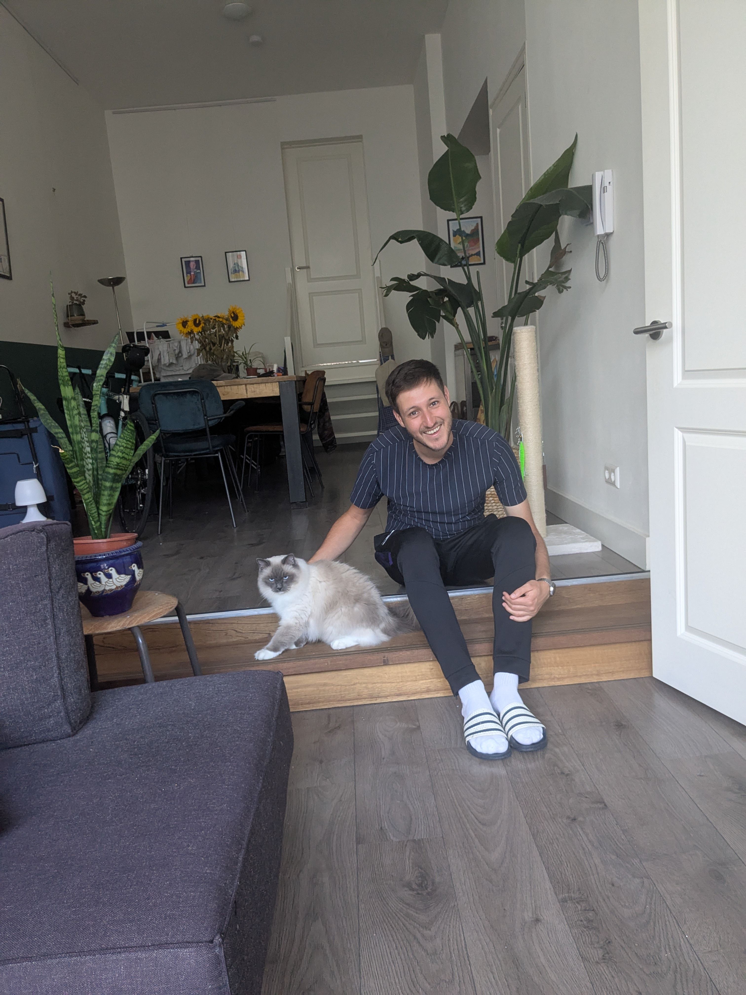 image-11
