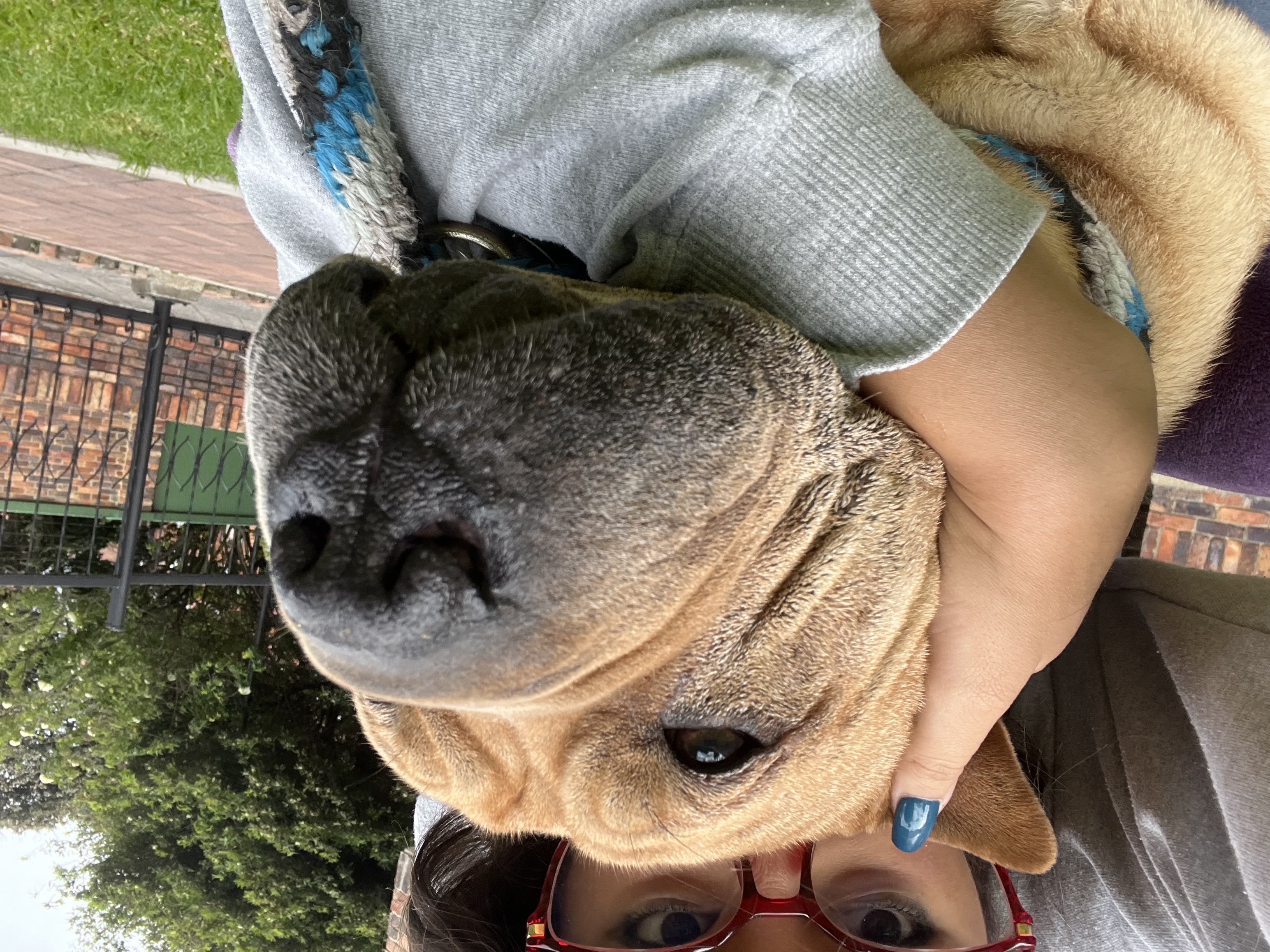image-6