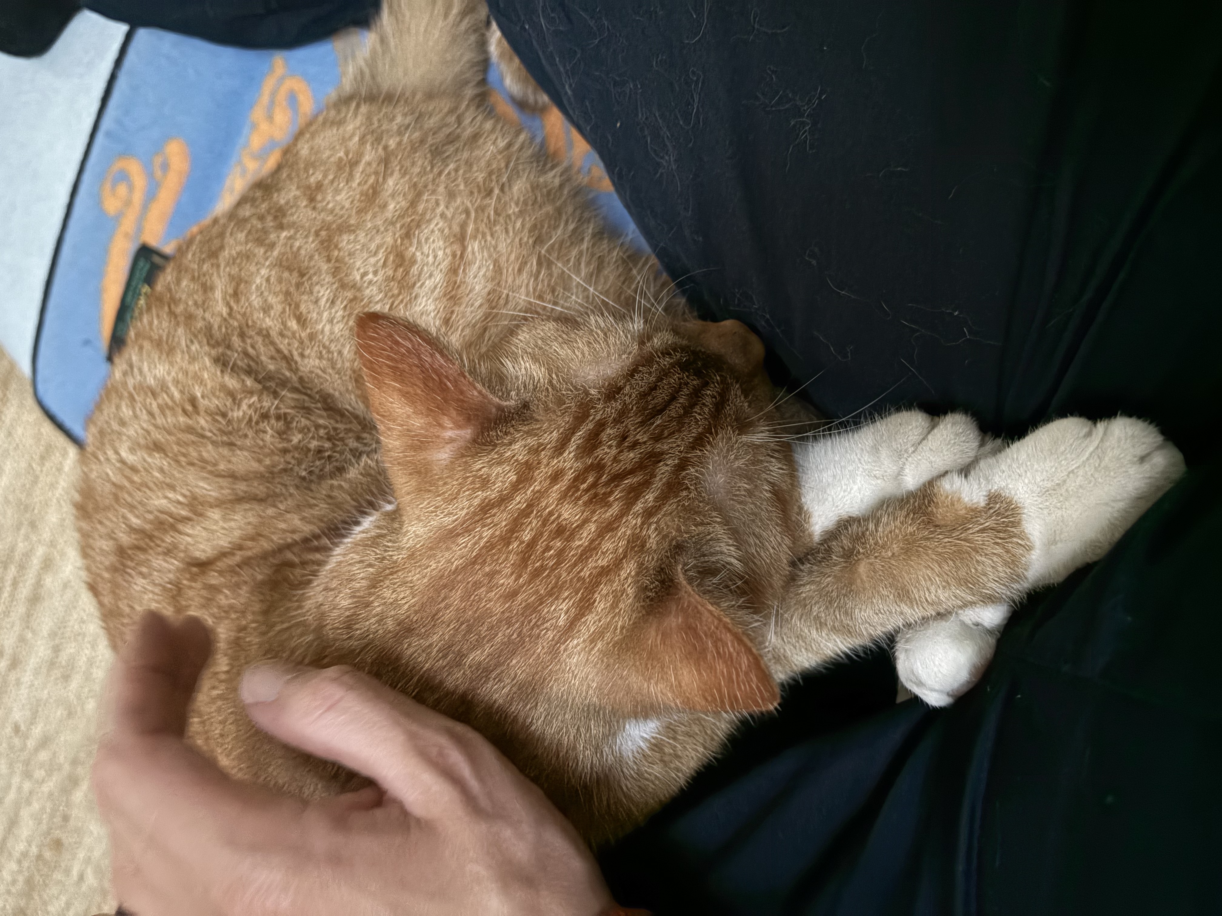image-6
