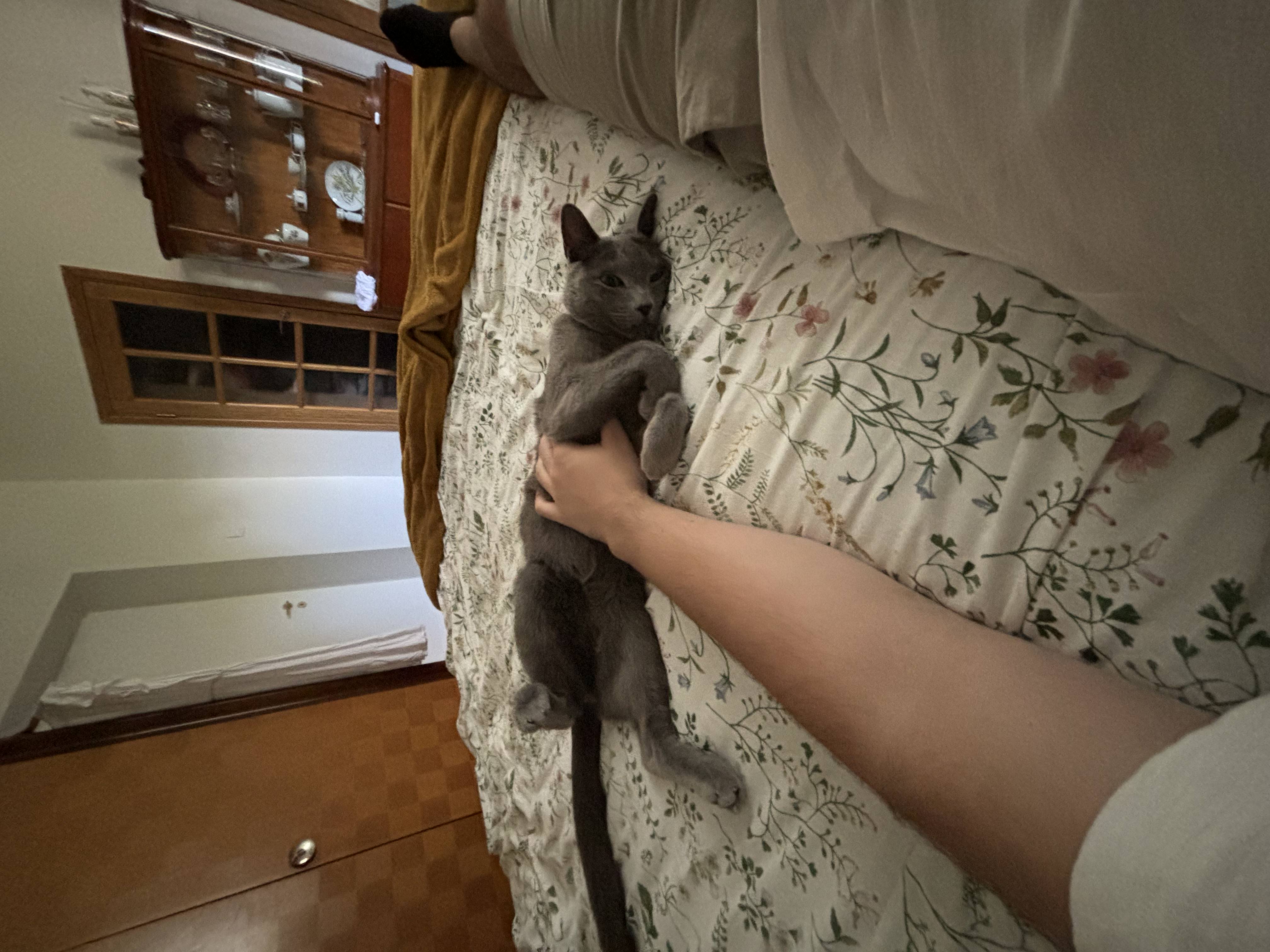 image-6